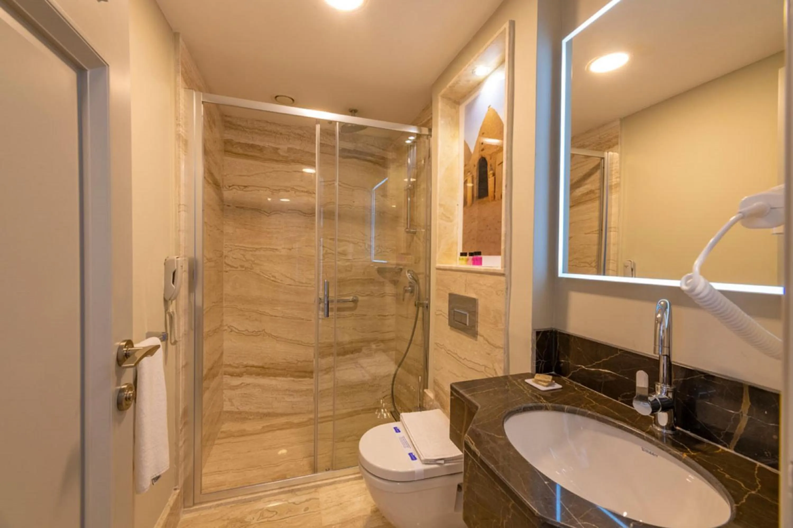 Shower in Blue Gilroy Hotel