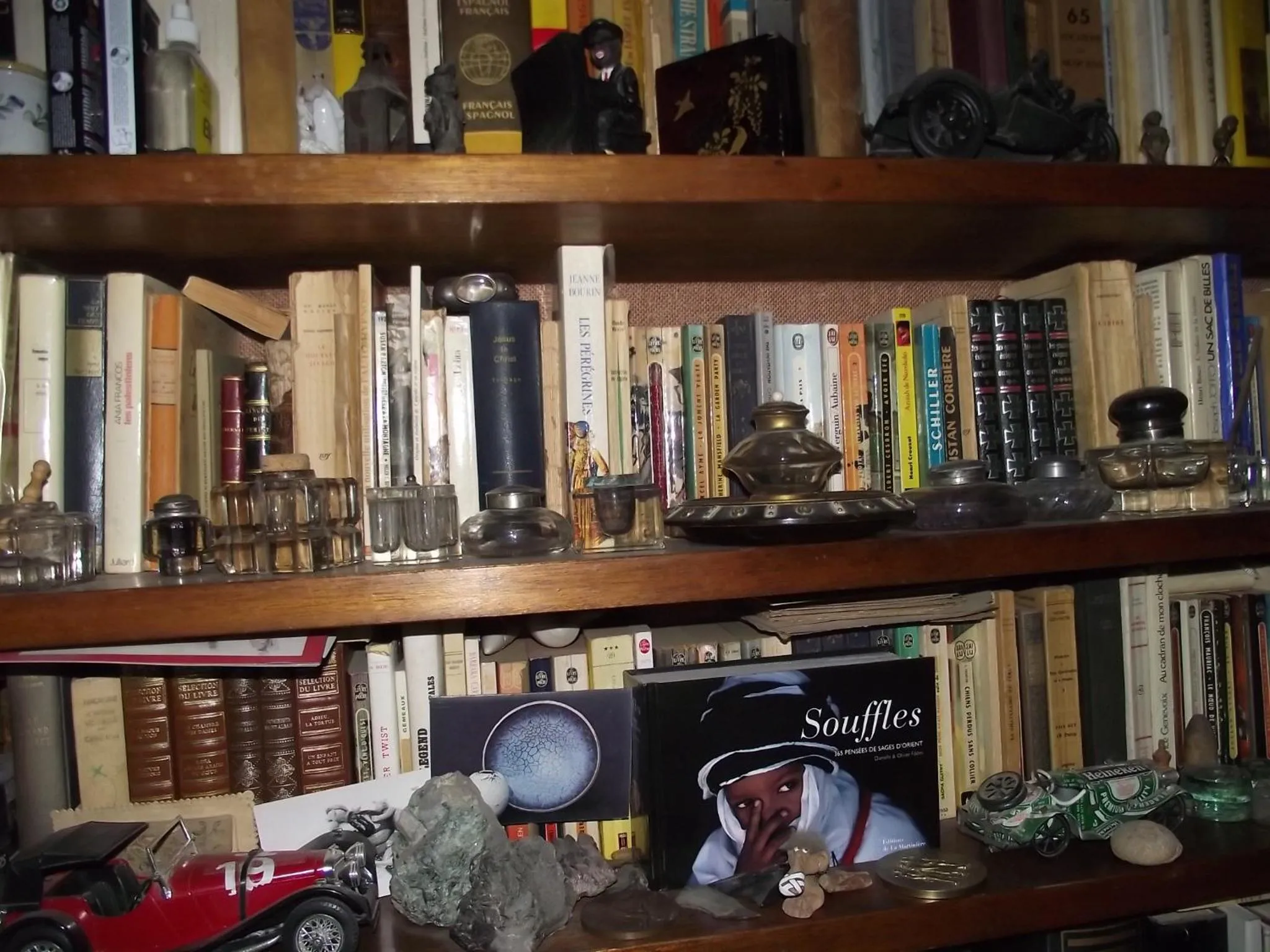 Library in Chambre d'hôtes Le Vaujoint
