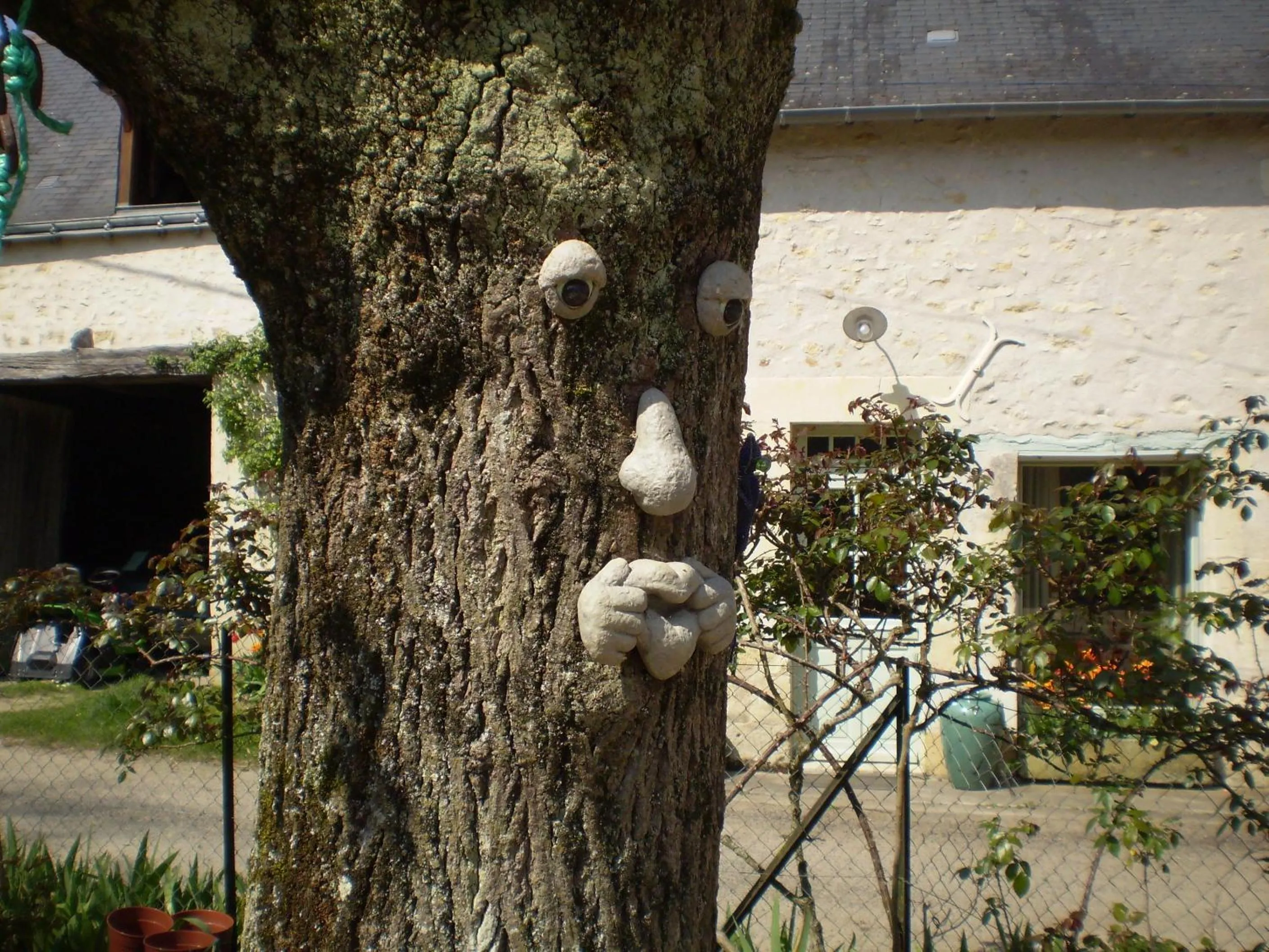 Other in Chambre d'hôtes Le Vaujoint