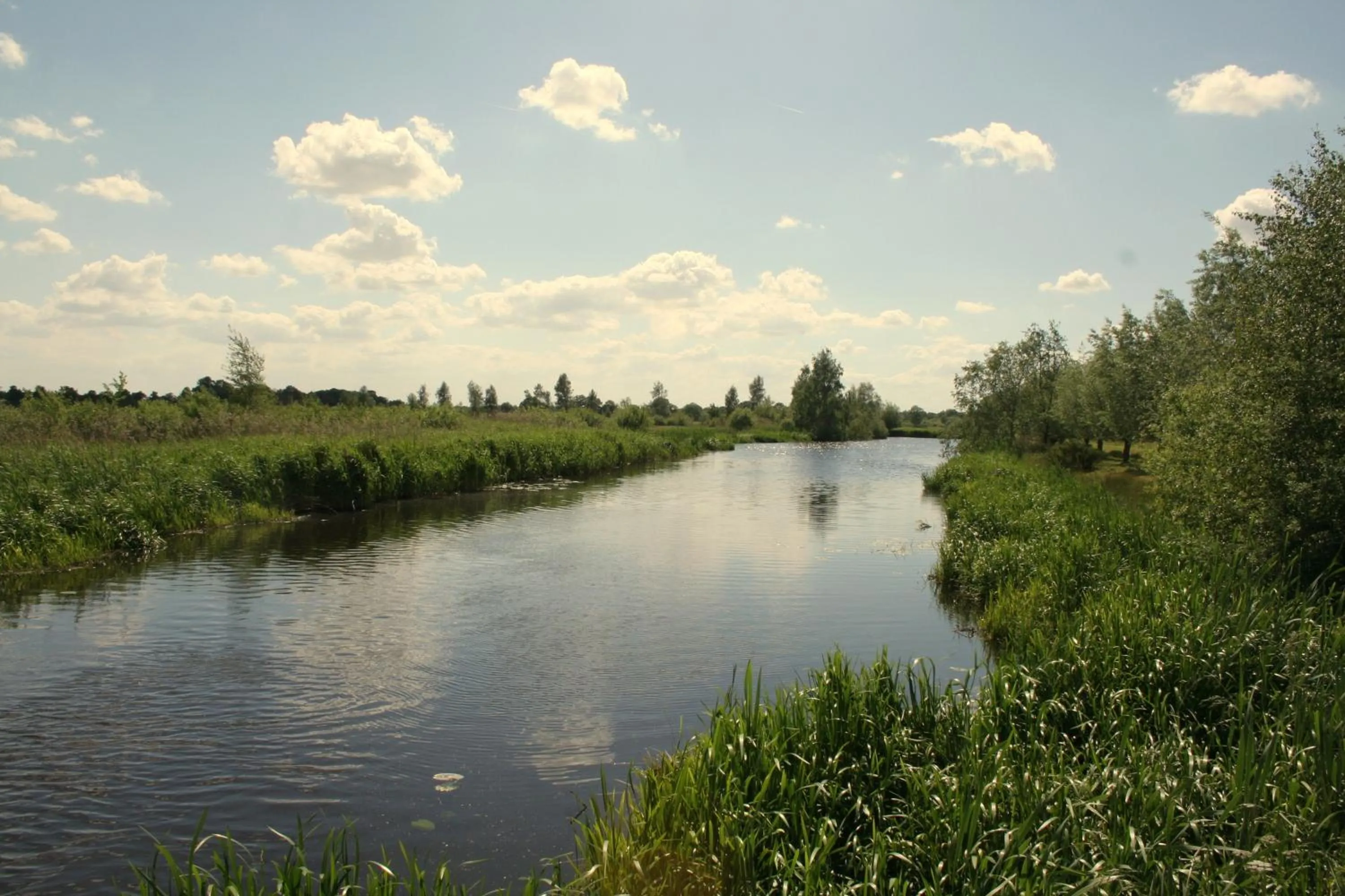 Natural landscape in Het Spijkerhuys