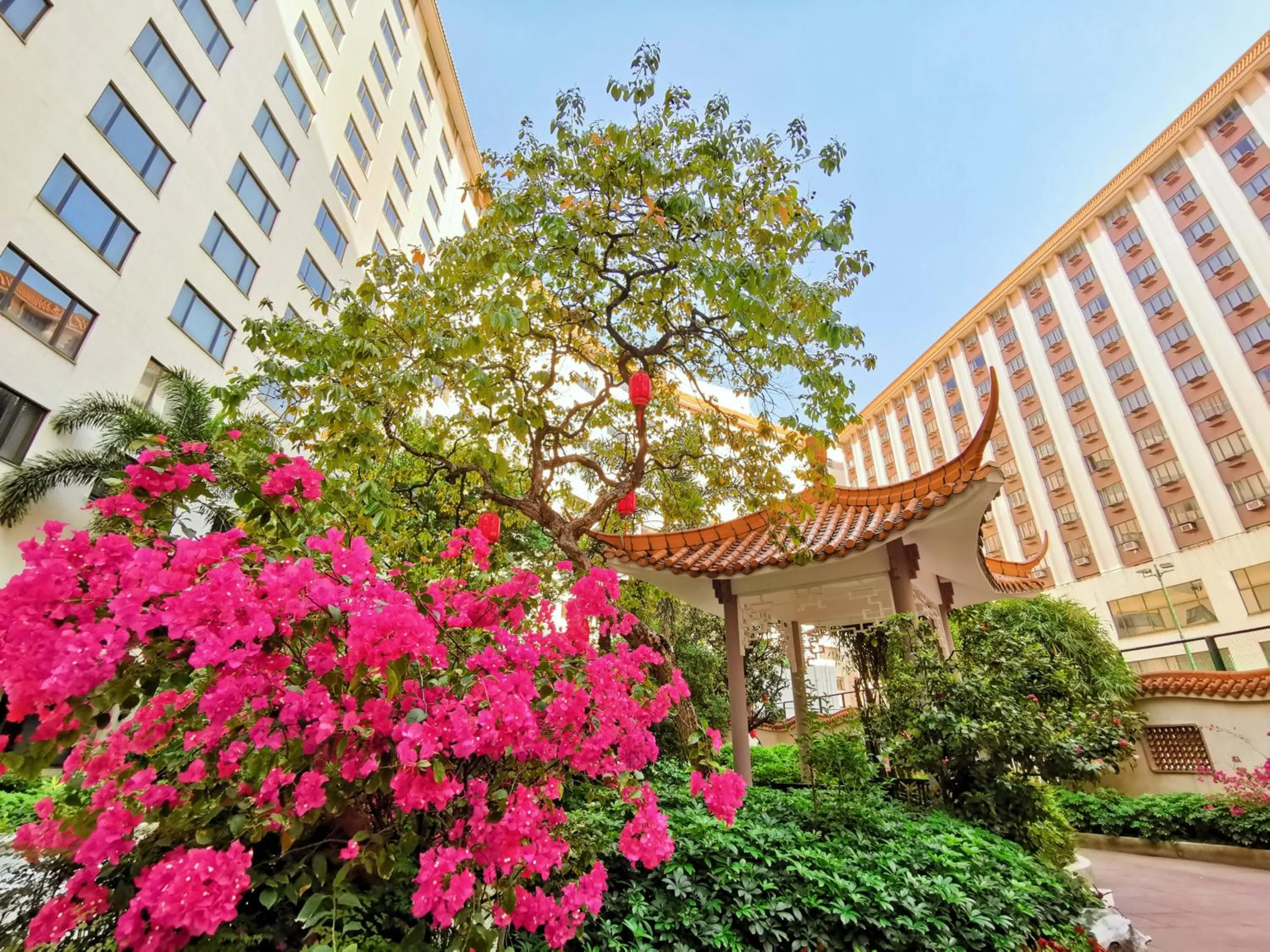 Garden in China Hotel Guangzhou