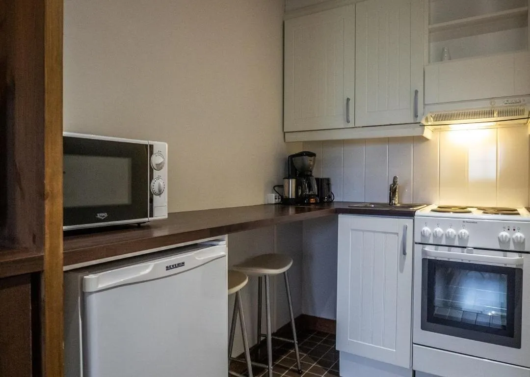 Kitchen or kitchenette in Iisakki Village