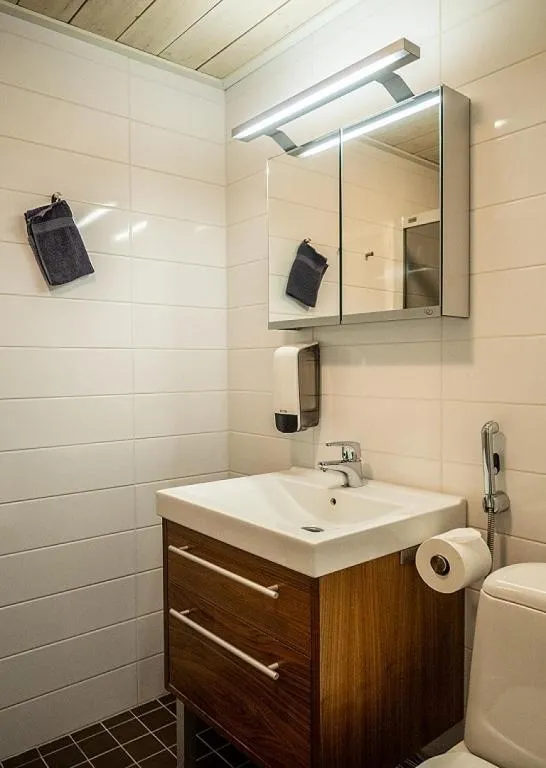 Bathroom in Iisakki Village