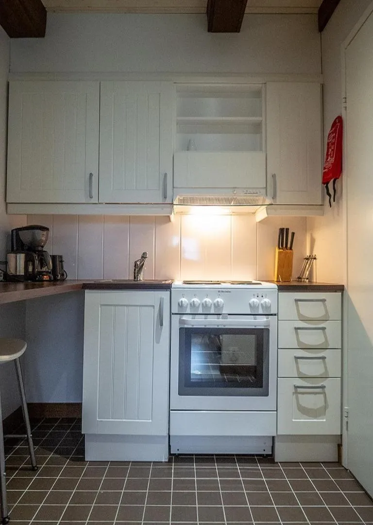 Kitchen or kitchenette in Iisakki Village