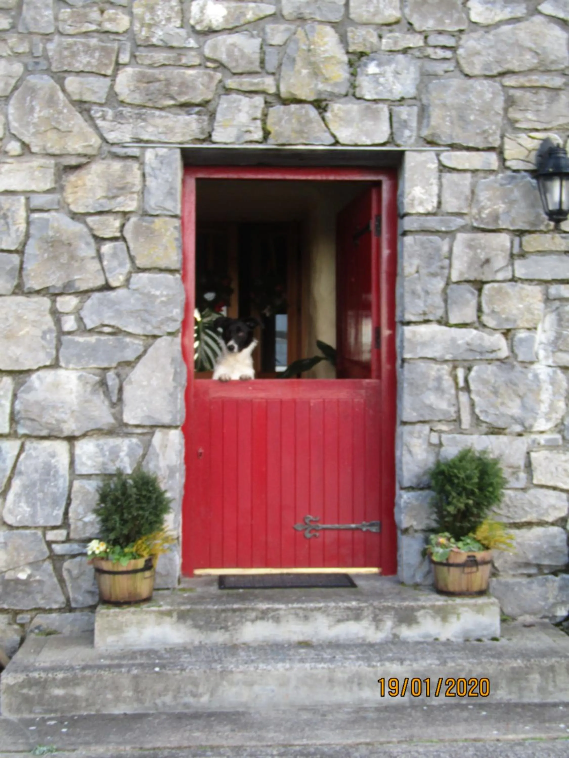 The Thatched Cottage B&B