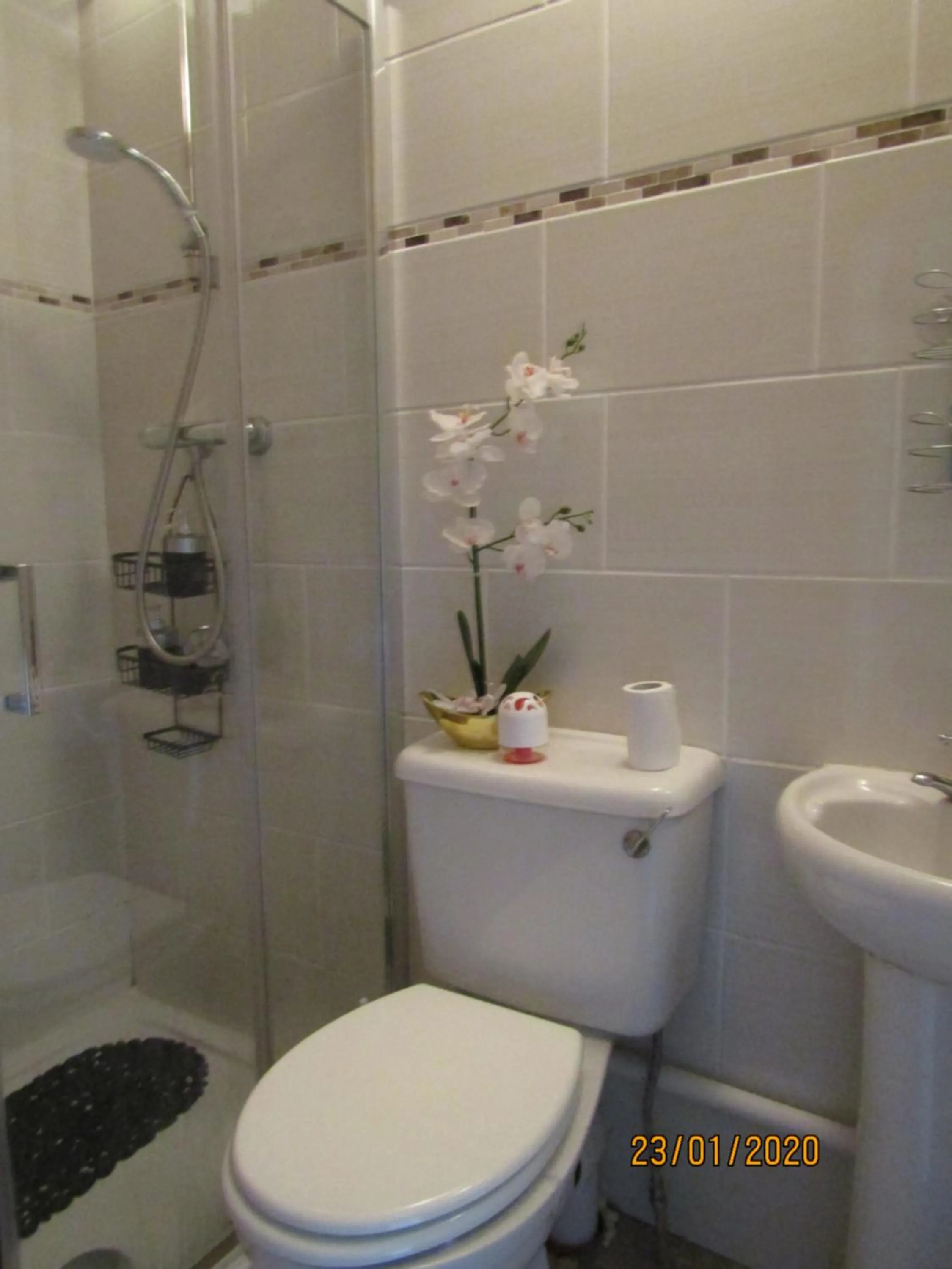 The Thatched Cottage B&B