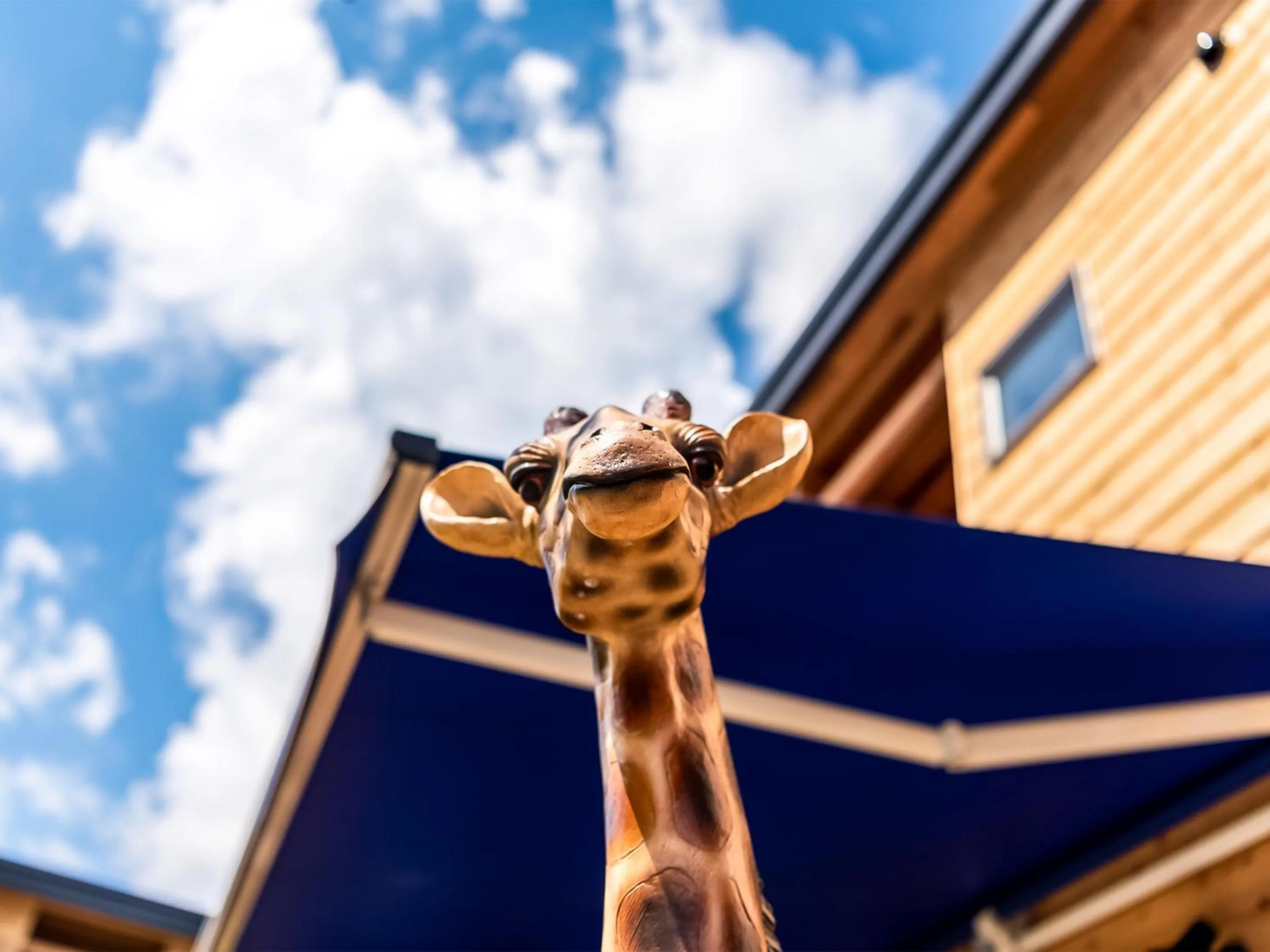 Other in Kawaguchiko Villa FJ Resort