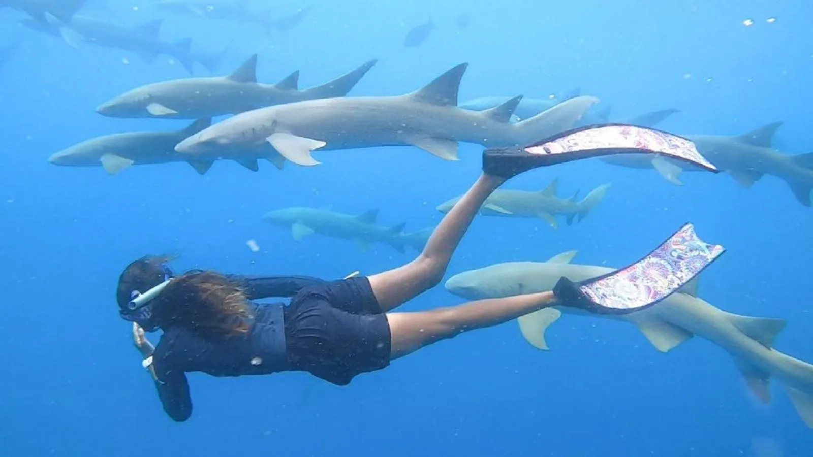 Snorkeling in Crown Beach Villas -Private Beach