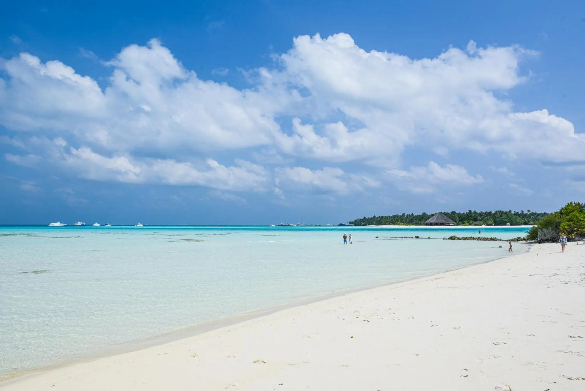 Natural landscape in Crown Beach Villas -Private Beach