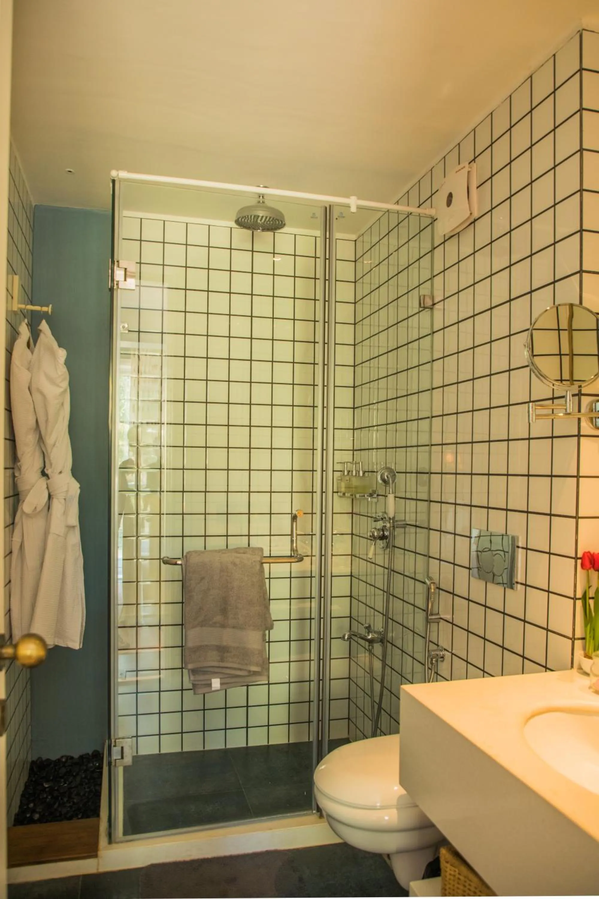 Toilet in Red Thread Calangute