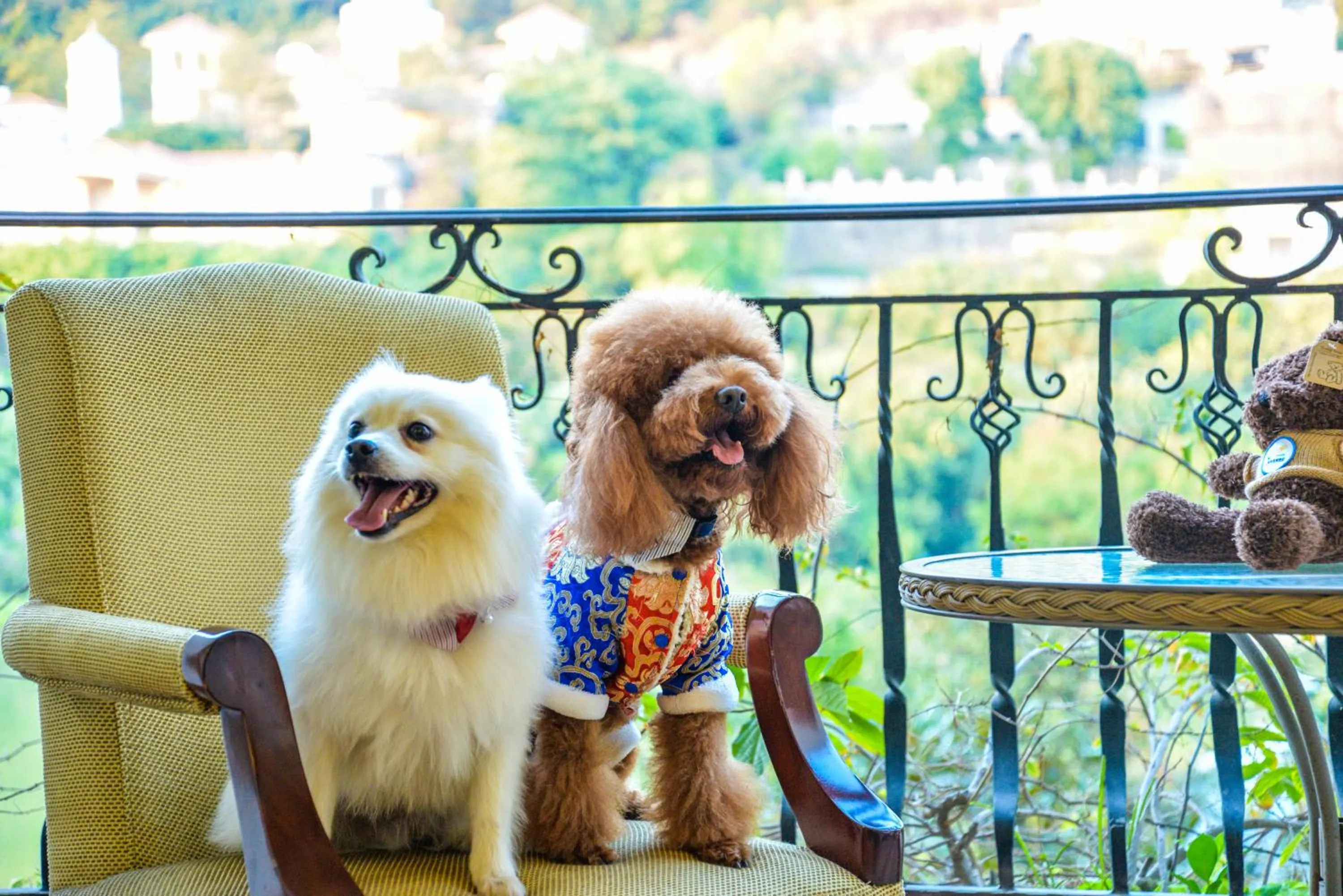 Animals in Guangzhou Phoenix City Hotel-Free Shuttle for Canton Fair 15th Oct to 5th Nov