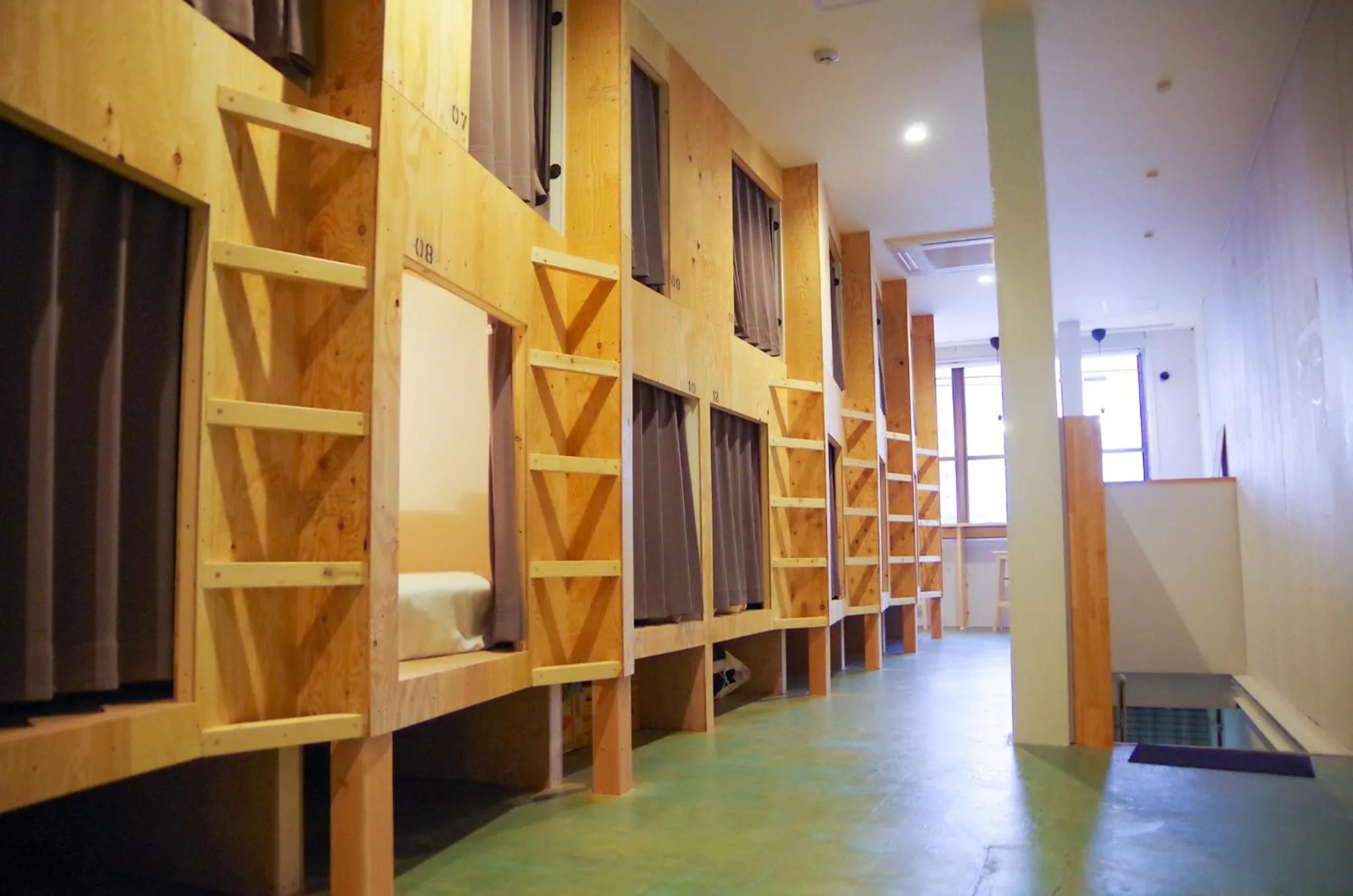 Travelers' house ROOTs