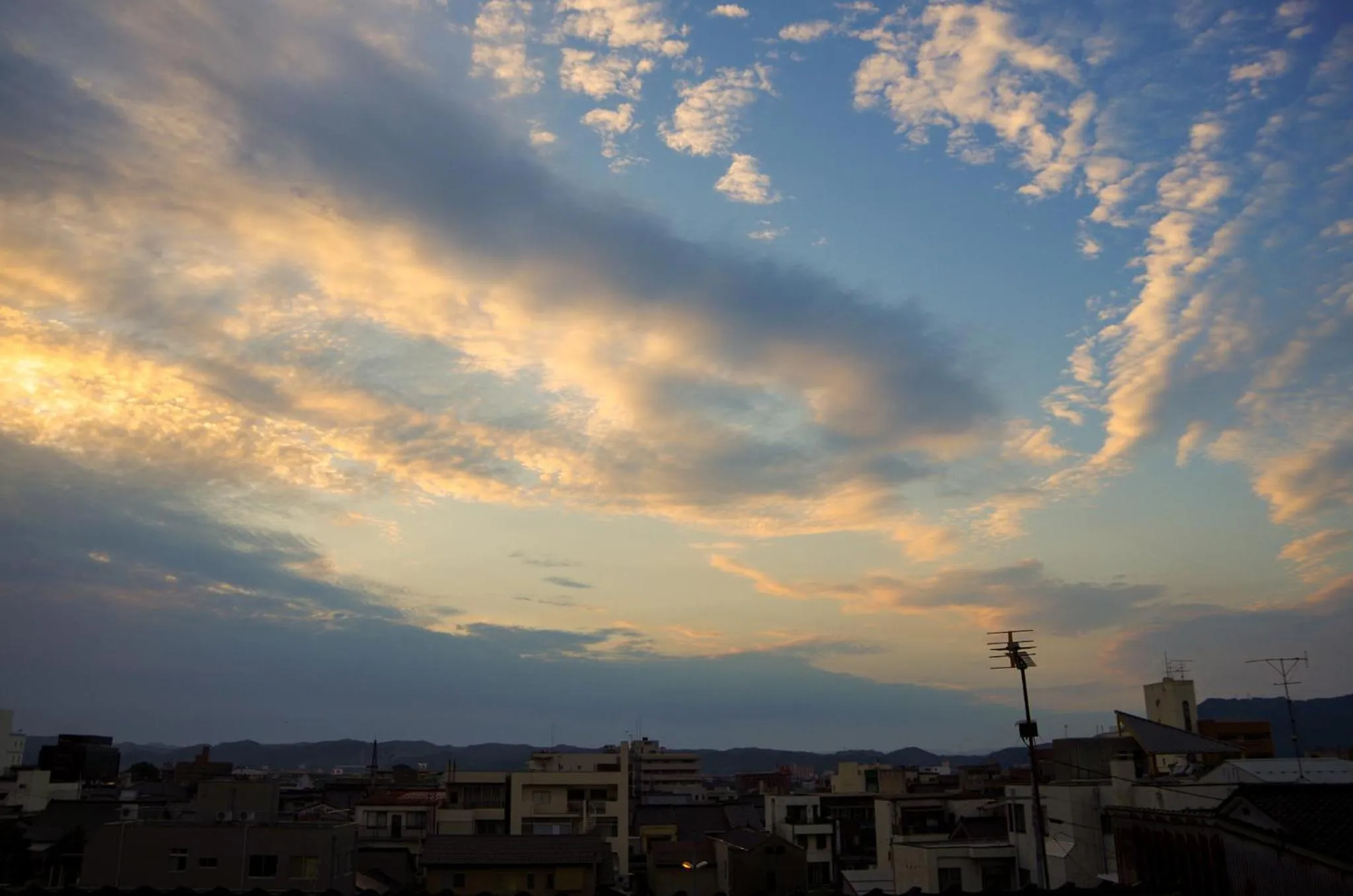 Travelers' house ROOTs