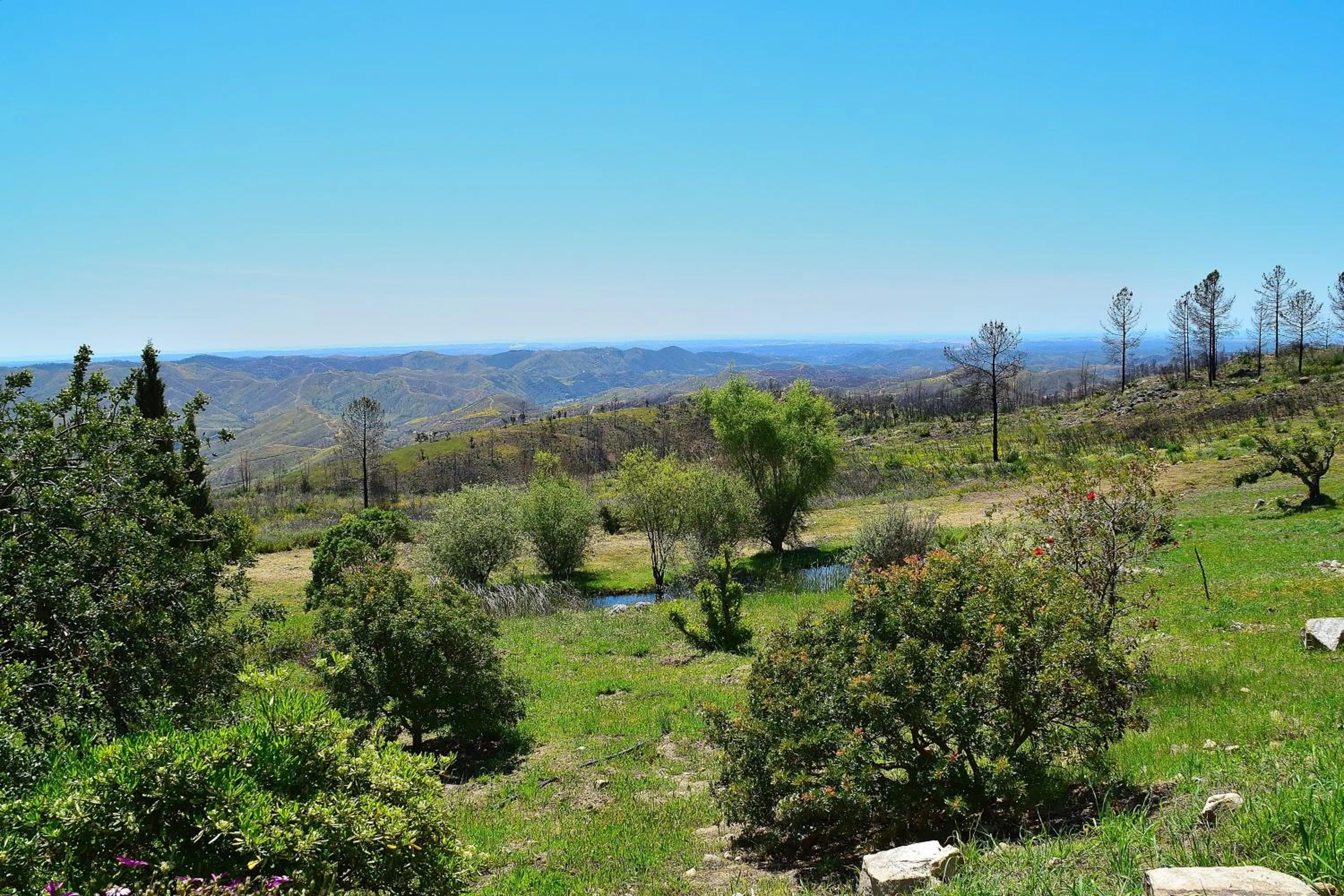 Nearby landmark in B&B Quinta O Ninho