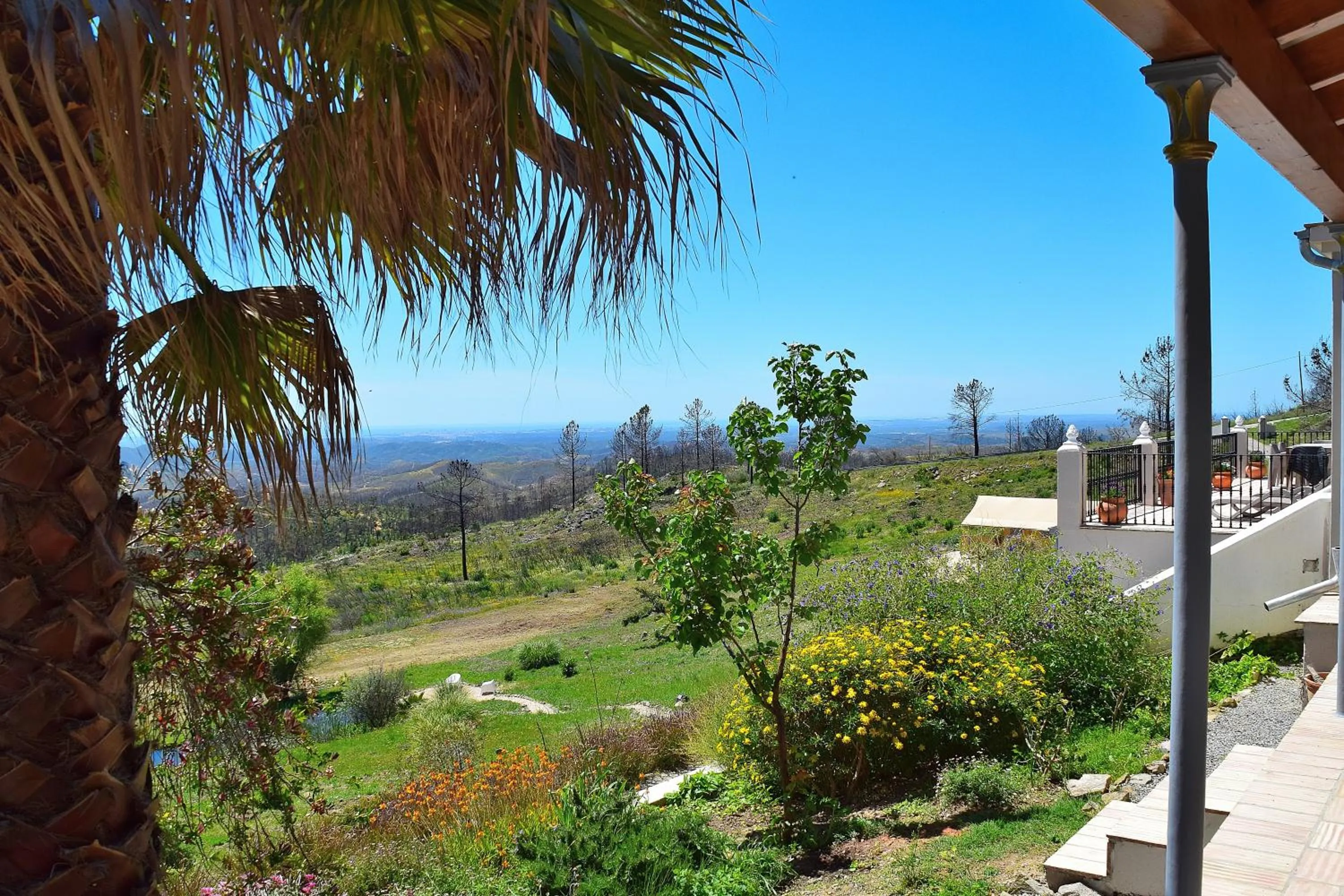 Spring in B&B Quinta O Ninho