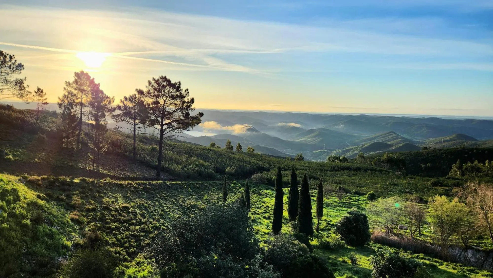 Spring in B&B Quinta O Ninho