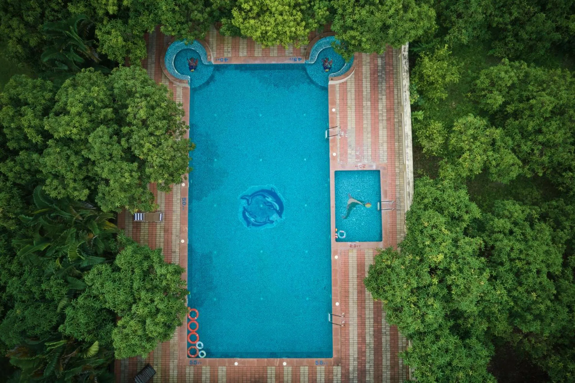 Swimming pool in Sarovar Portico Sasangir