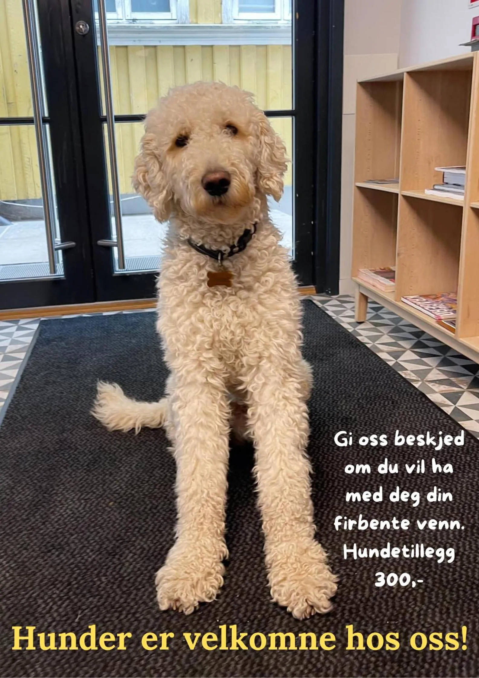 Communal lounge/ TV room in Kragerø Hotell