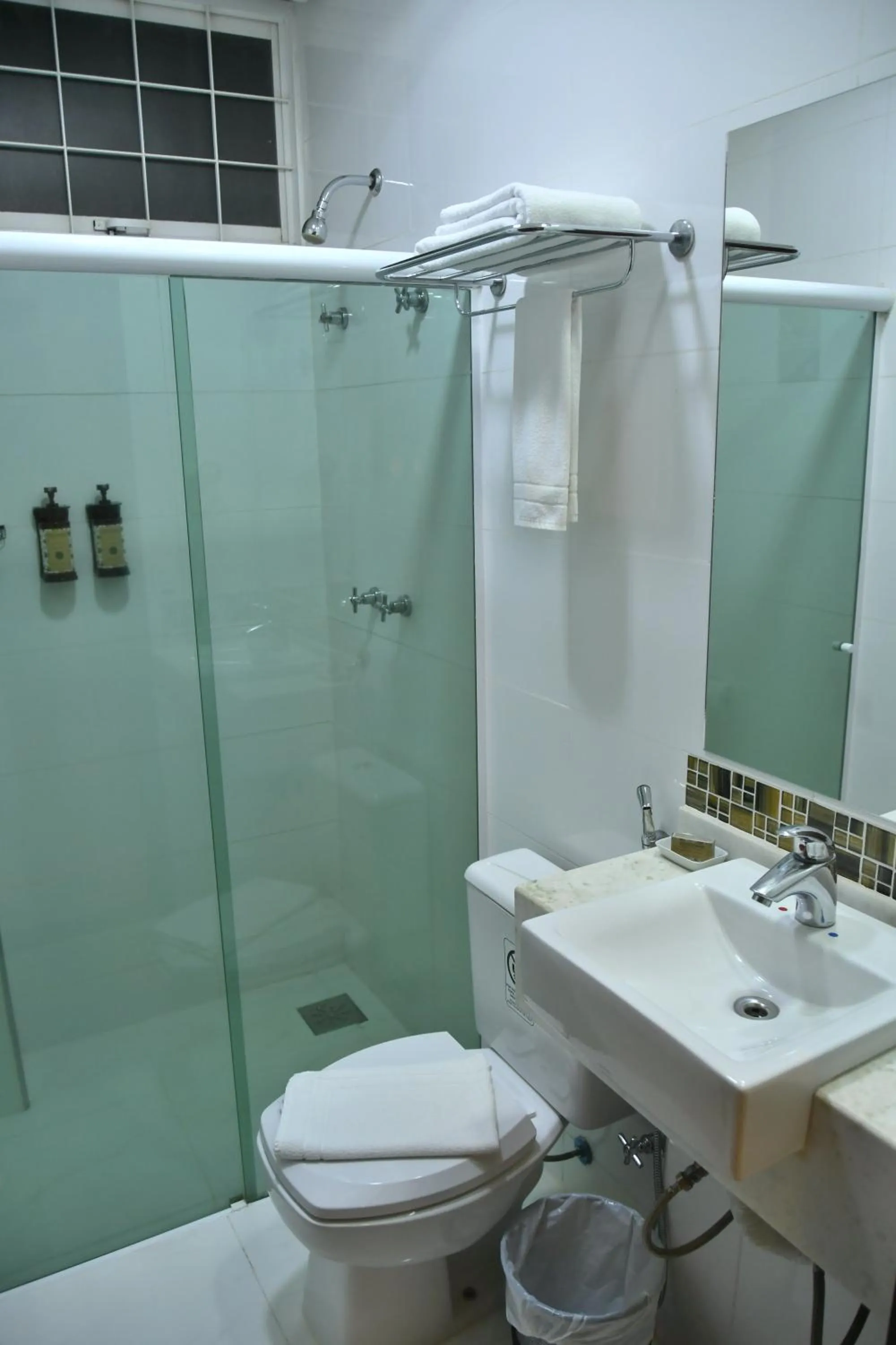 Bathroom in Hotel Araraquara By Mercure