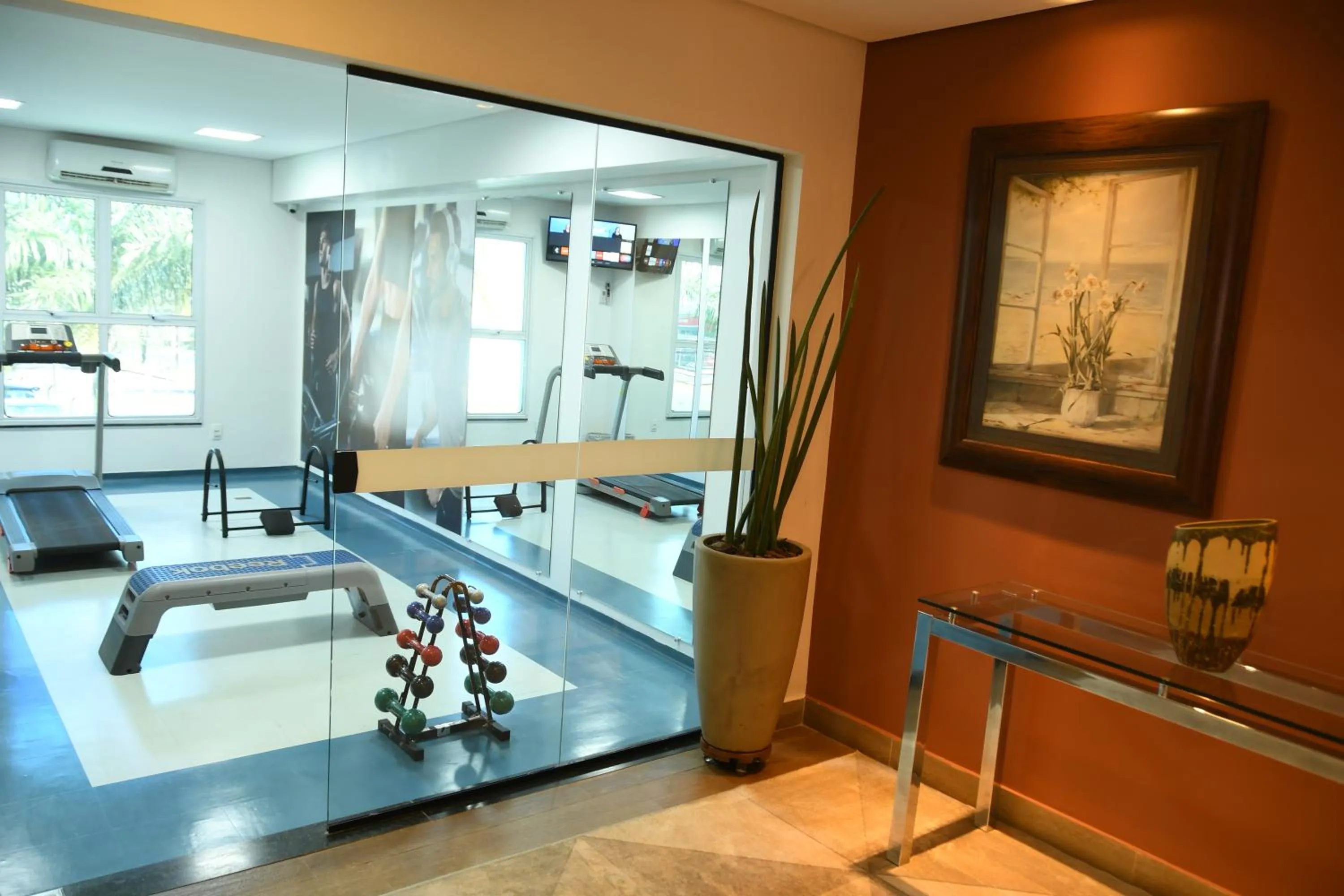 Fitness centre/facilities in Hotel Araraquara By Mercure