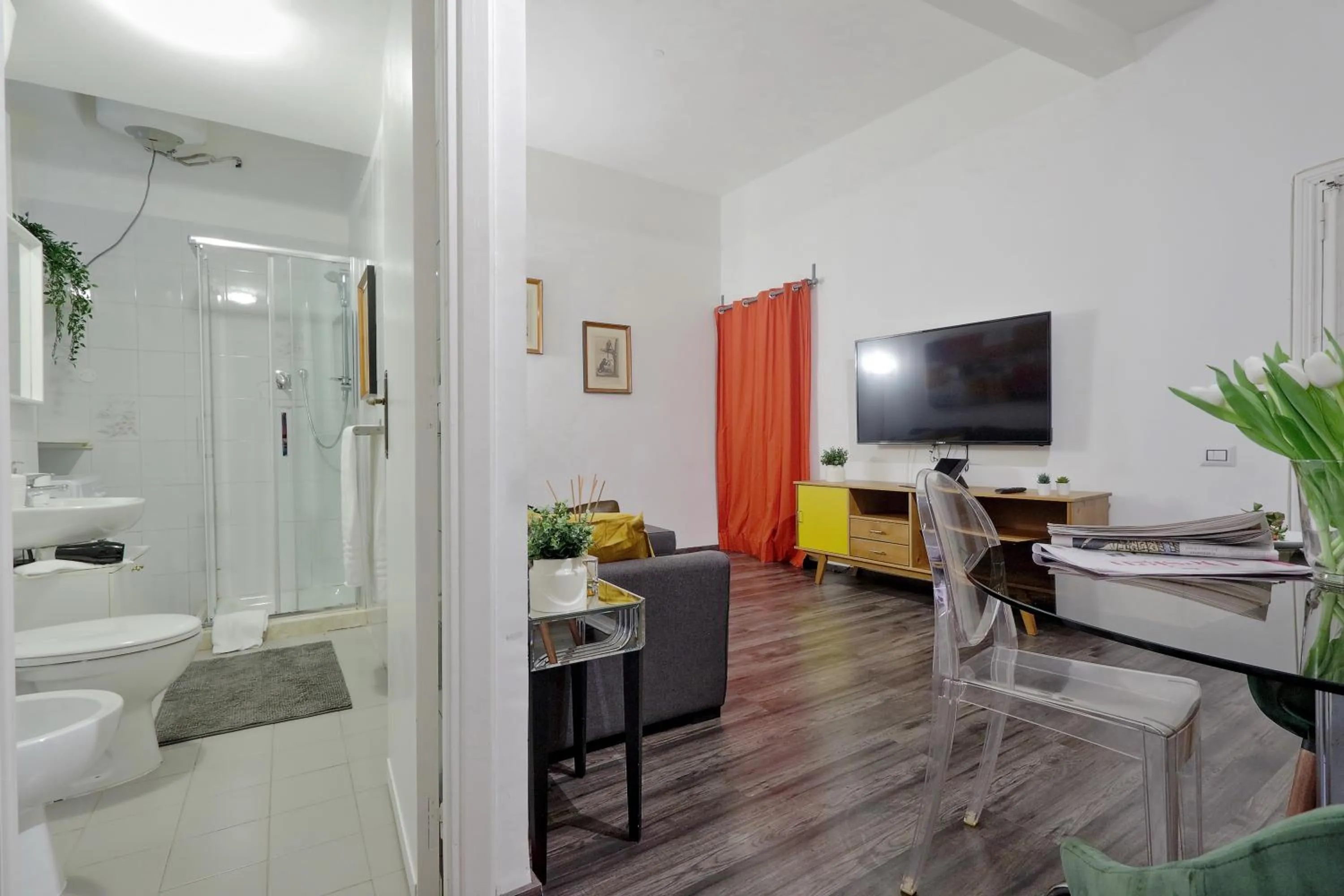 TV and multimedia in Urbana Delicious Flat