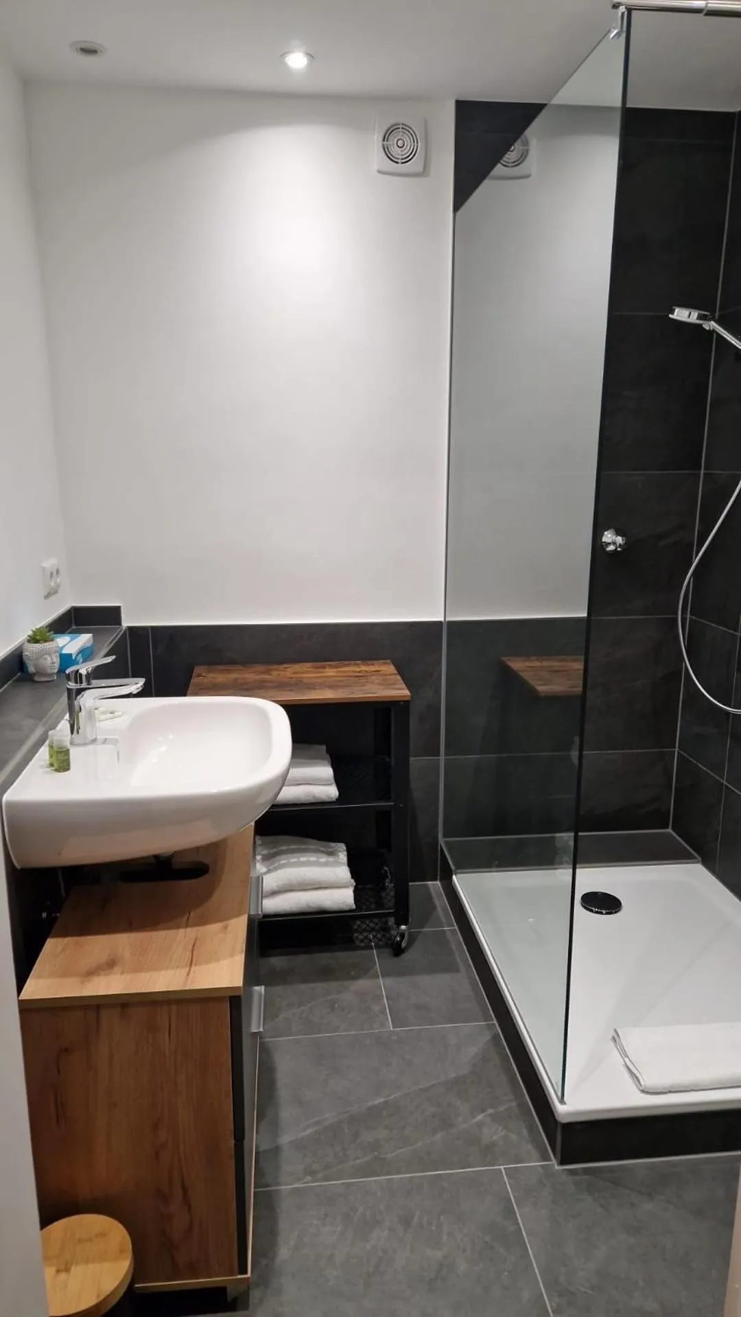 Shower in Hotel Friederike