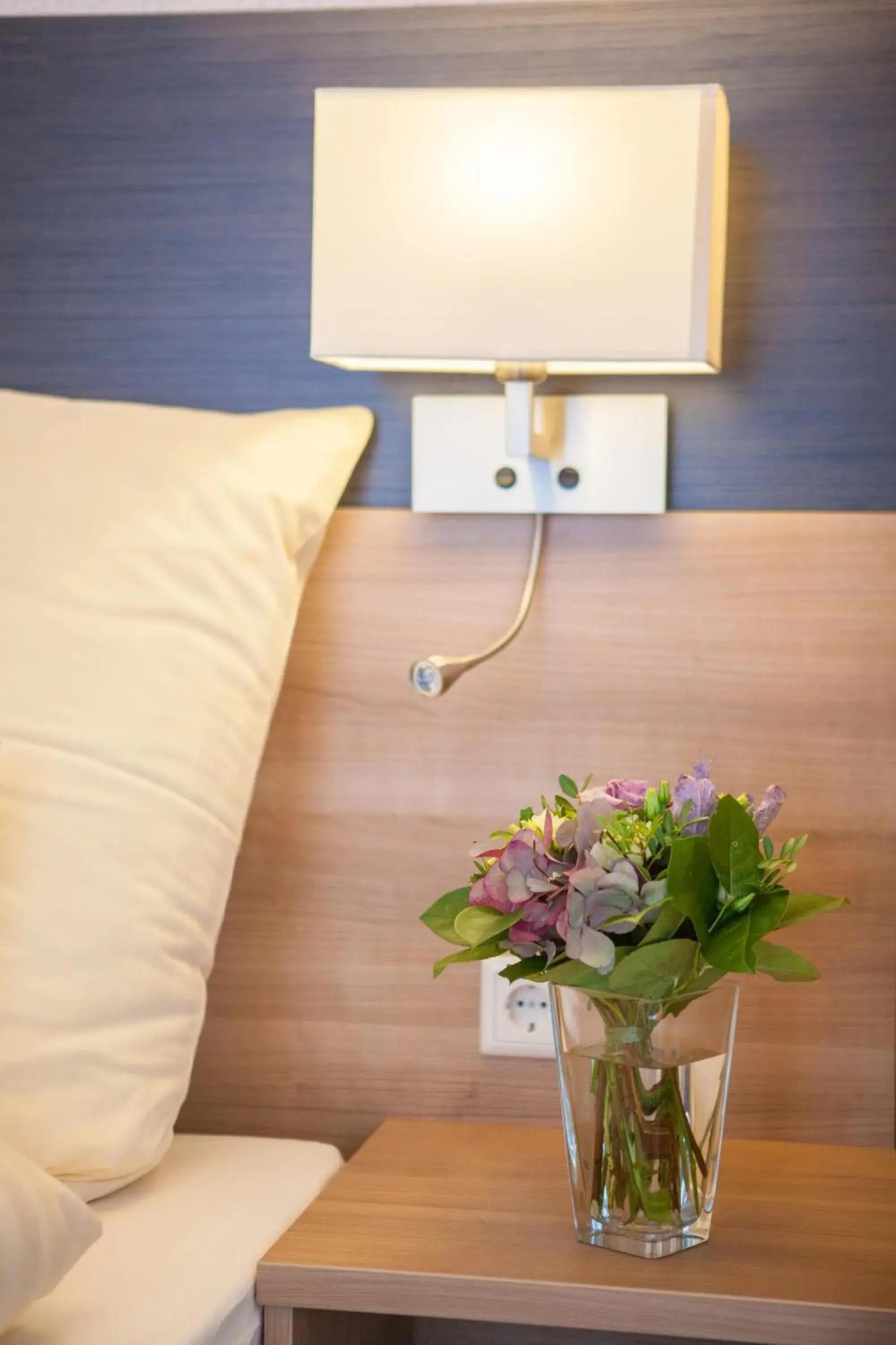 Queen Room - single occupancy in EulenNest Queen Room - single occupancy in EulenNest