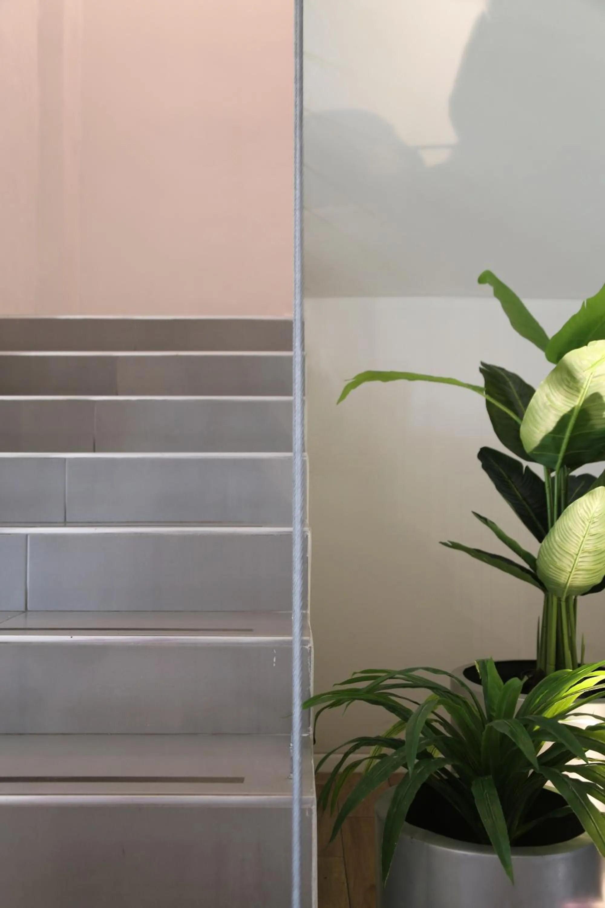 Hotel Blanco Pachuca