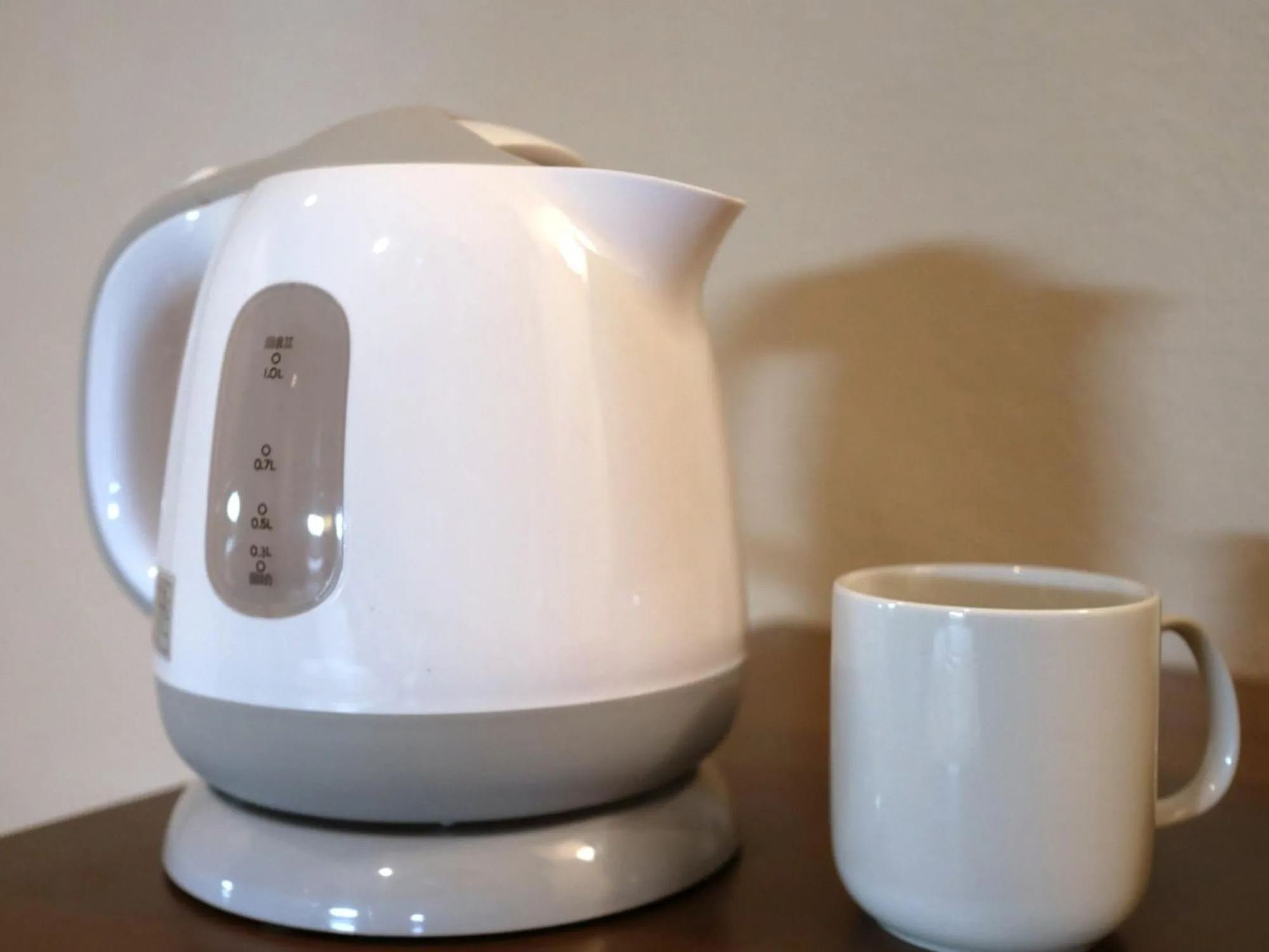 Photo of the whole room in Hamamatsu Station Hotel