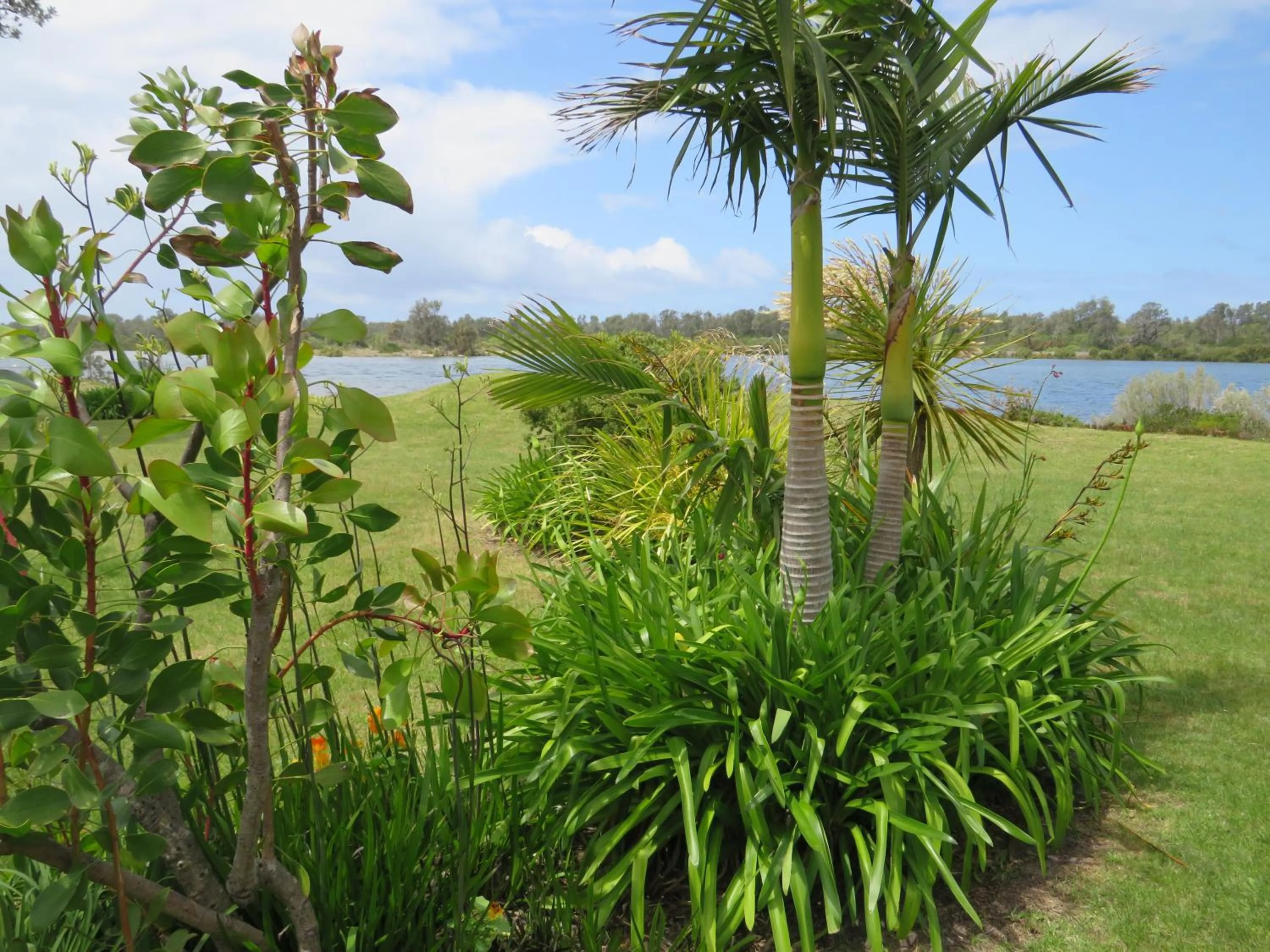 Natural landscape in Lakes Entrance Waterfront Cottages with King Beds