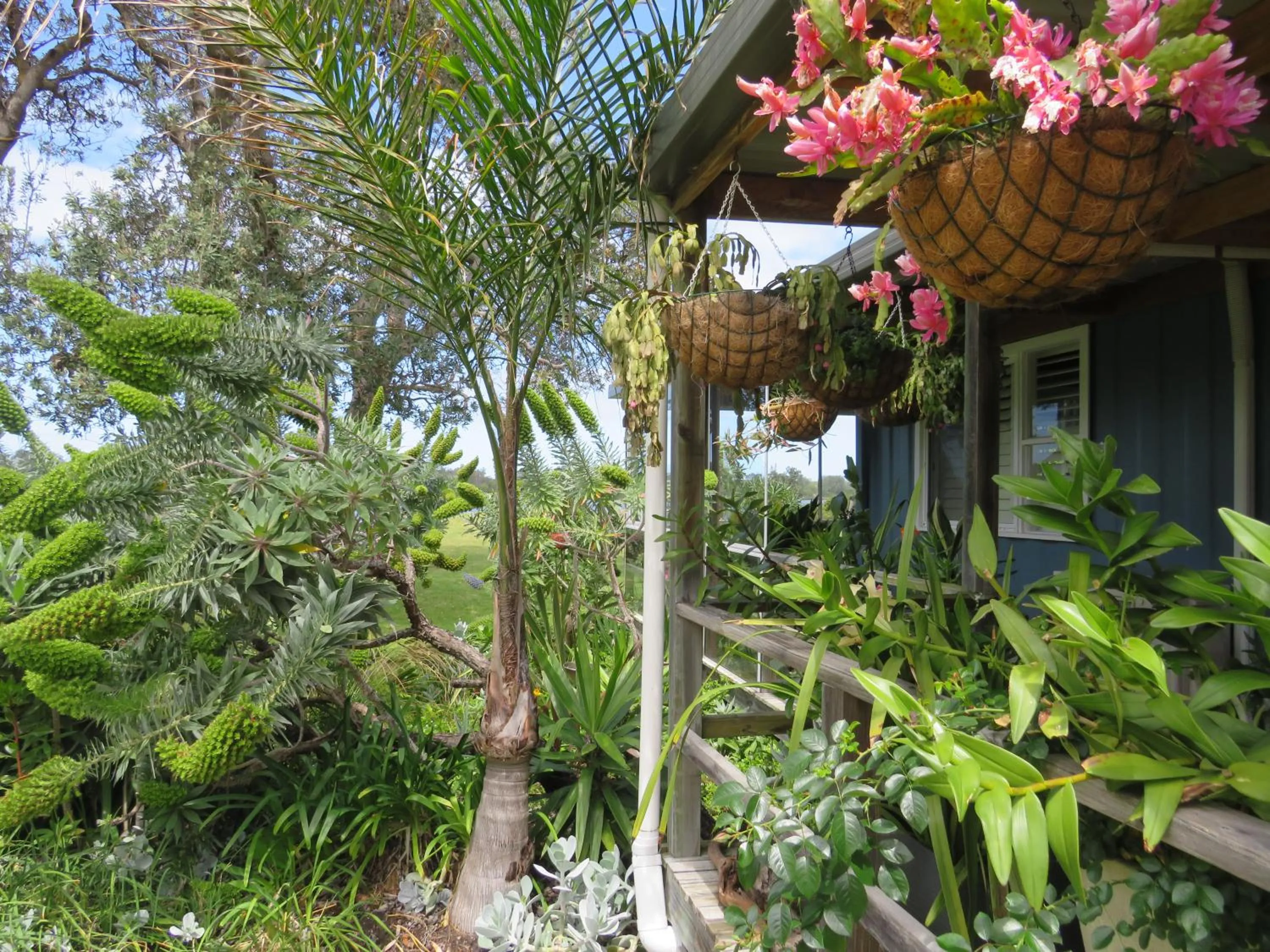 Natural landscape in Lakes Entrance Waterfront Cottages with King Beds