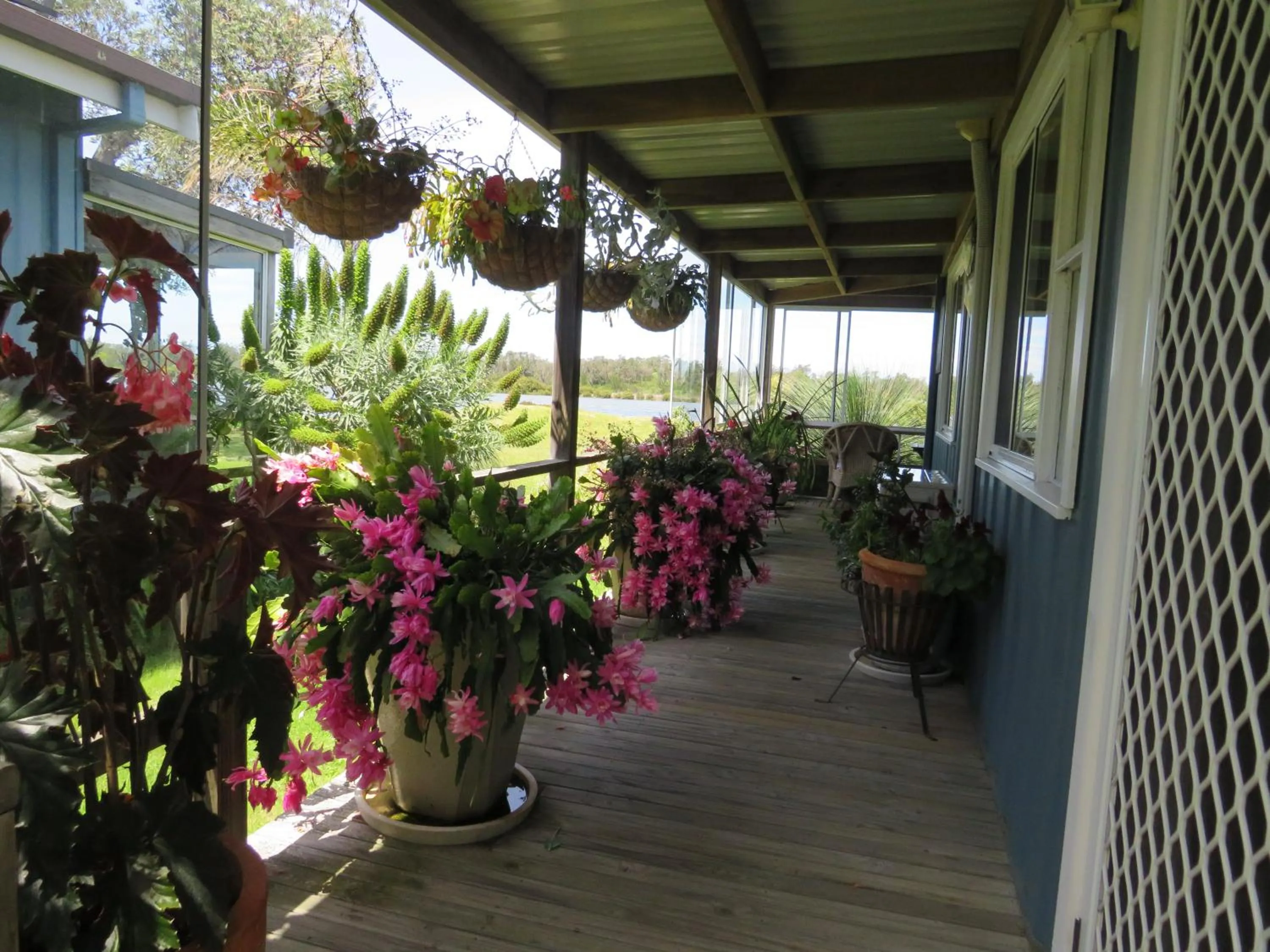Lake view in Lakes Entrance Waterfront Cottages with King Beds