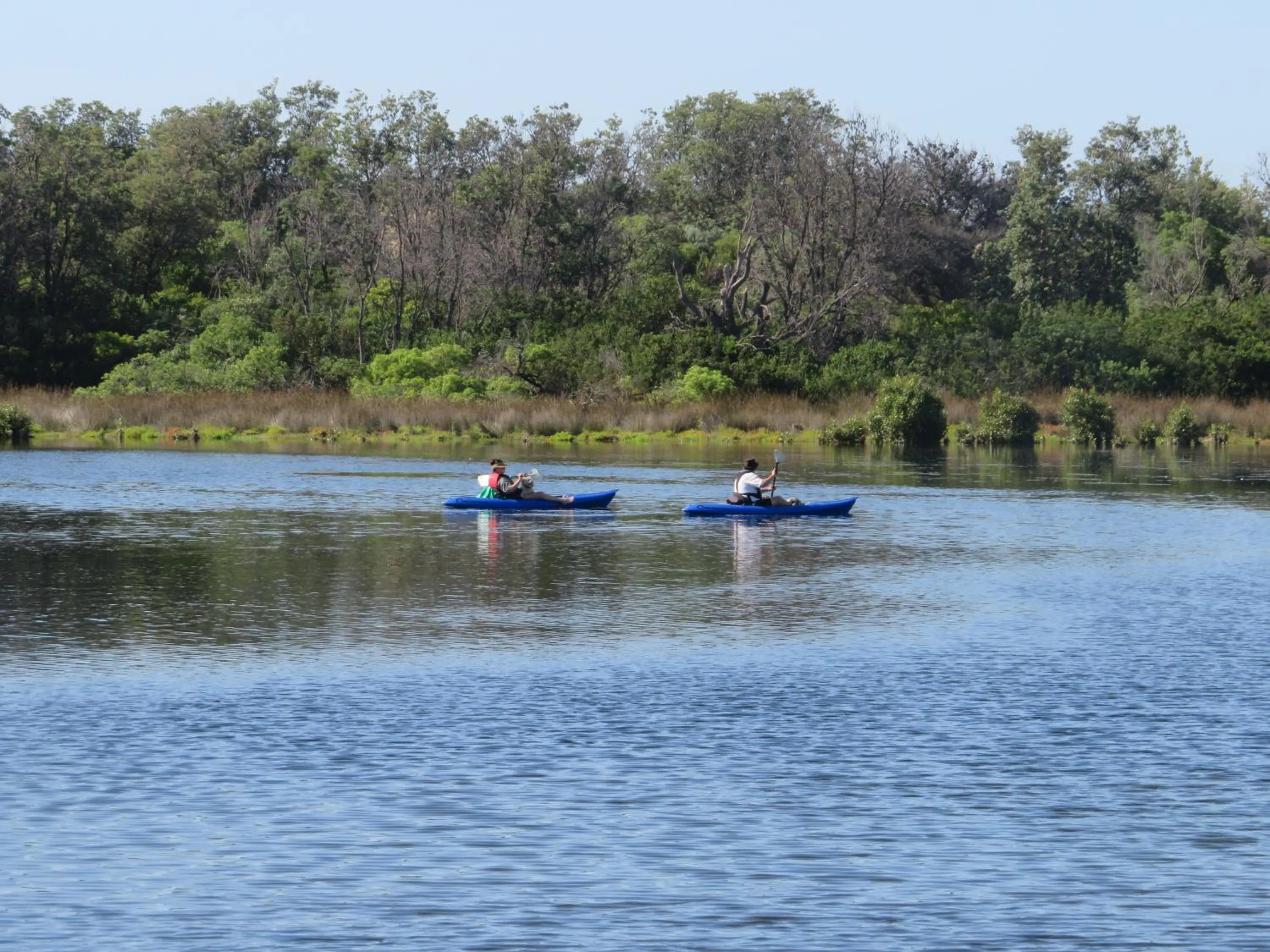 Natural landscape in Lakes Entrance Waterfront Cottages with King Beds