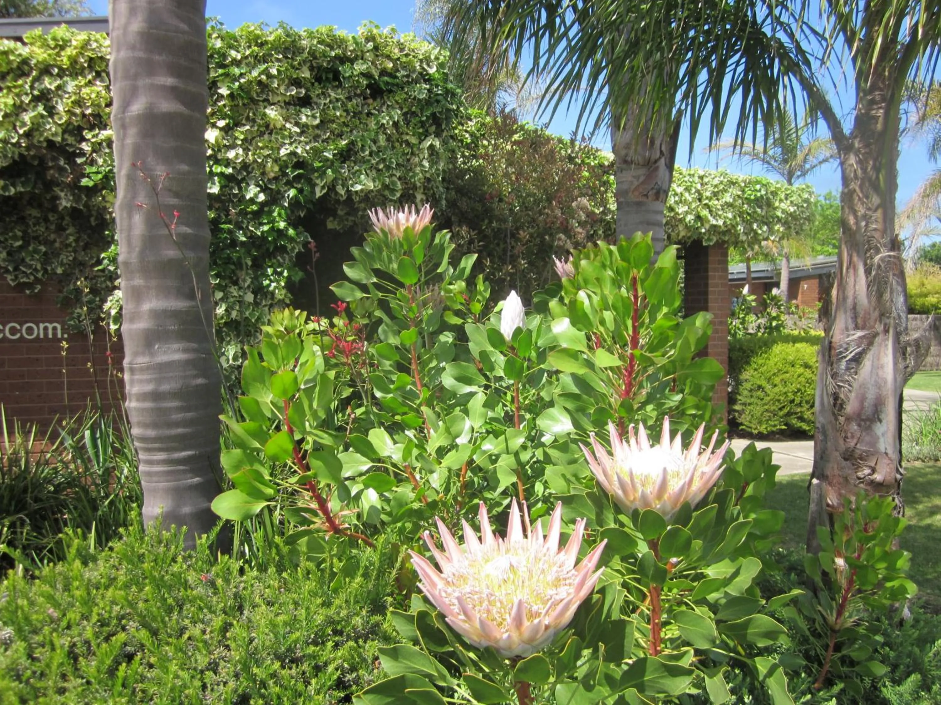 Facade/entrance in Lakes Entrance Waterfront Cottages with King Beds