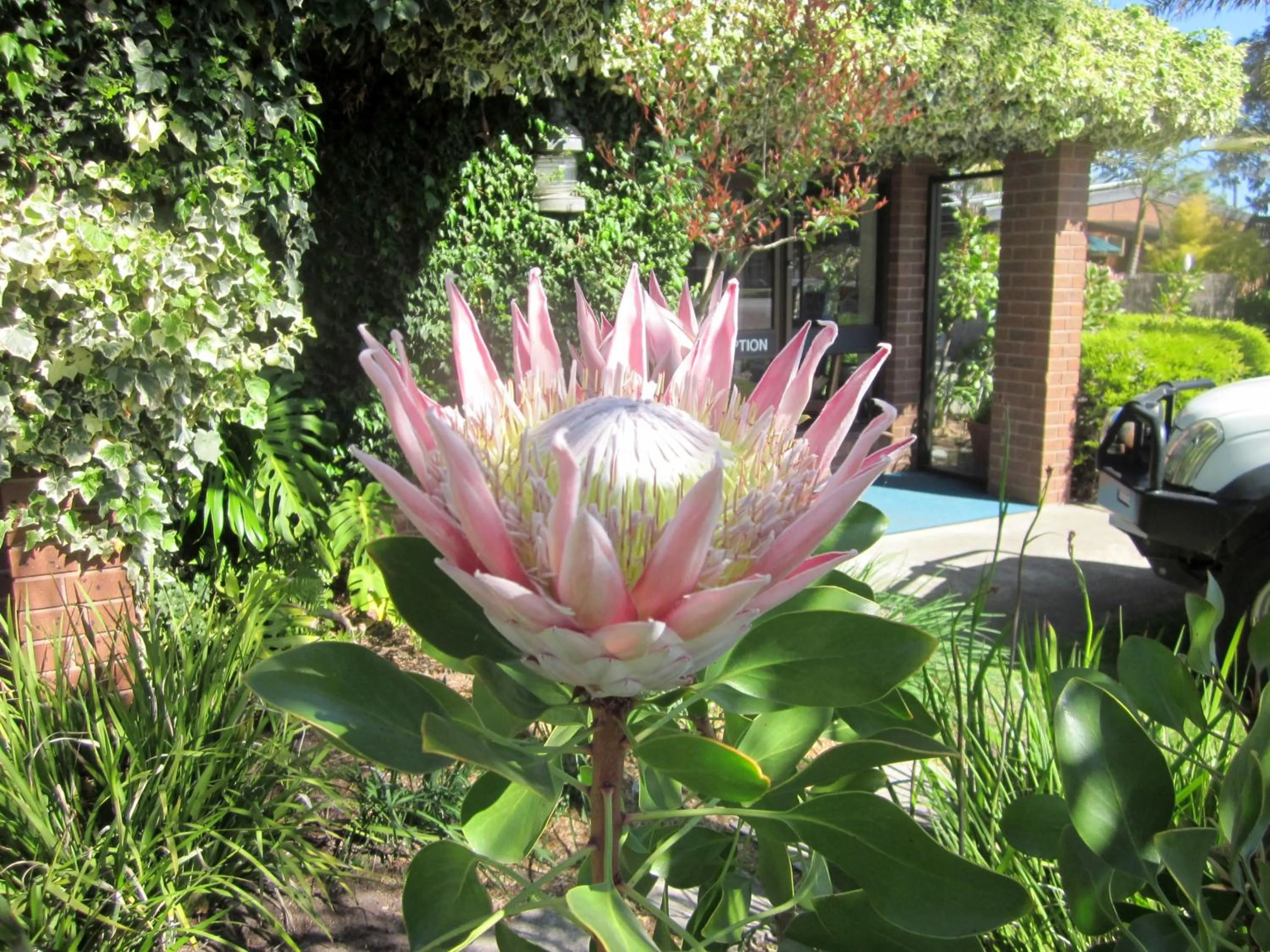 Spring in Lakes Entrance Waterfront Cottages with King Beds