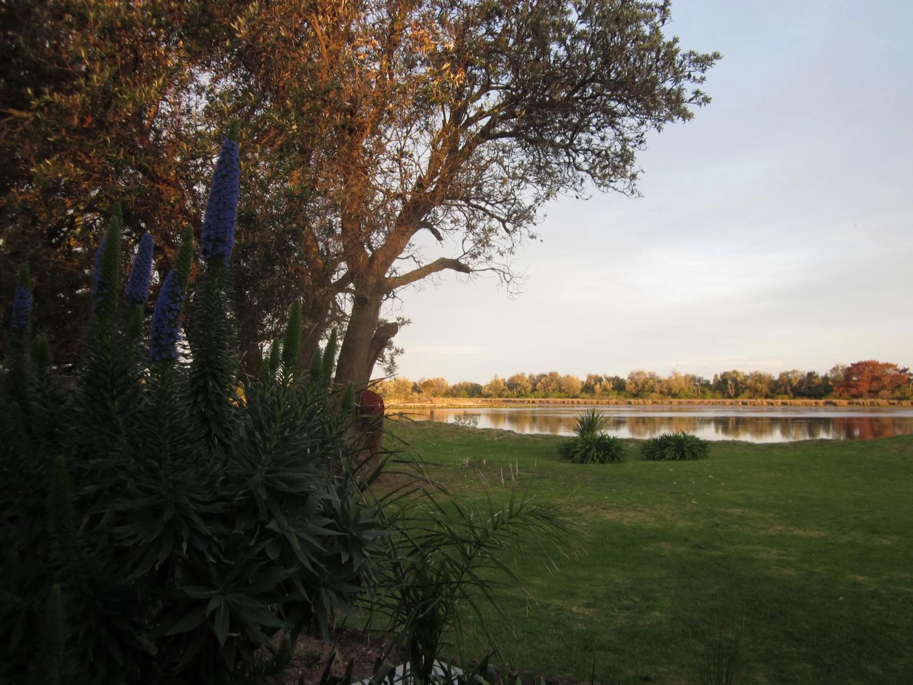 Natural landscape in Lakes Entrance Waterfront Cottages with King Beds