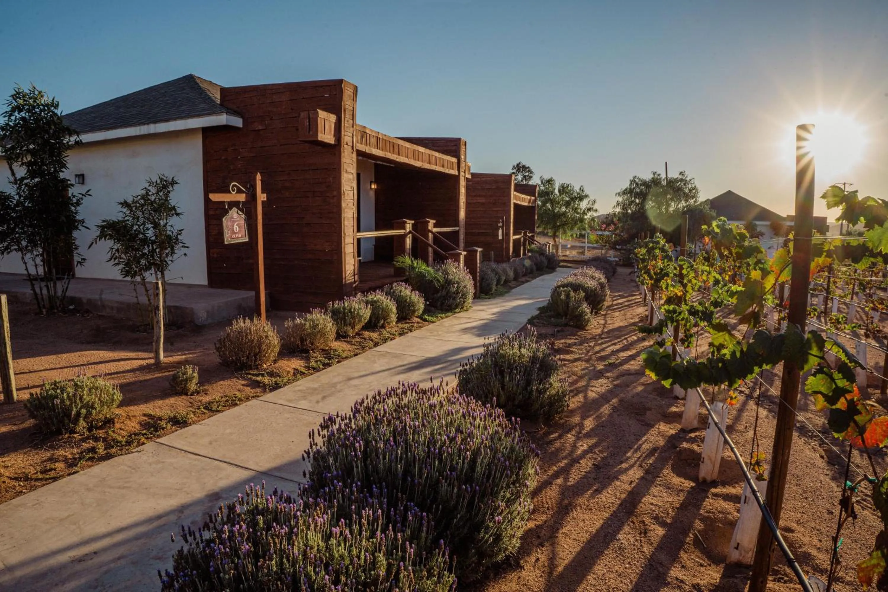 Garden in Entrevalle Hotel Boutique