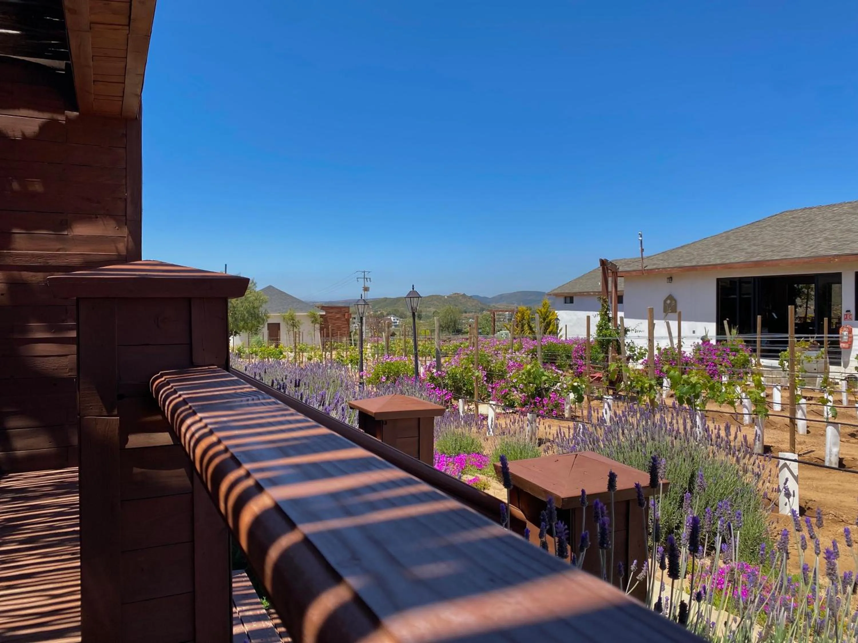 Natural landscape in Entrevalle Hotel Boutique