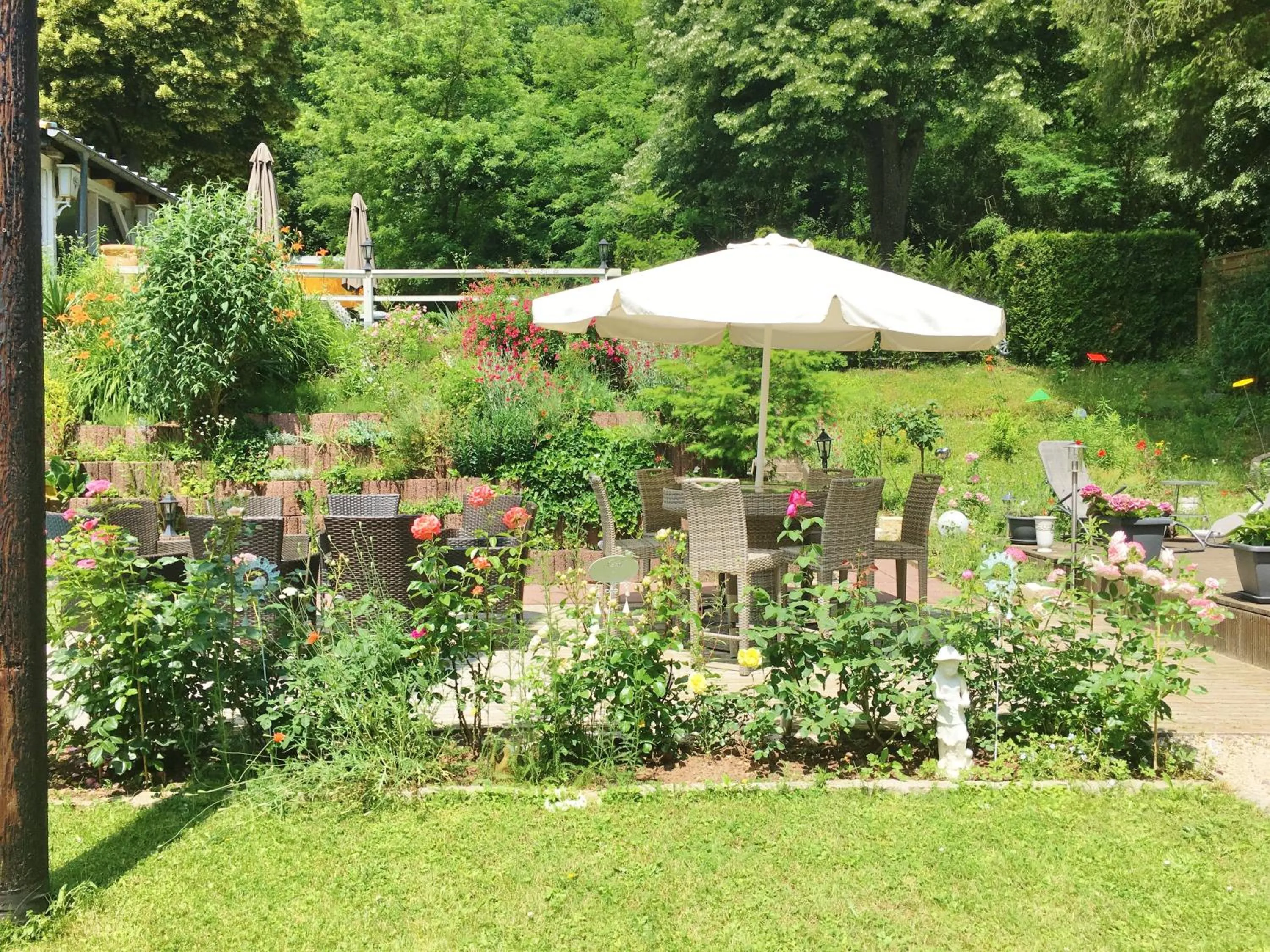 Garden in Hotel Sonnenhof