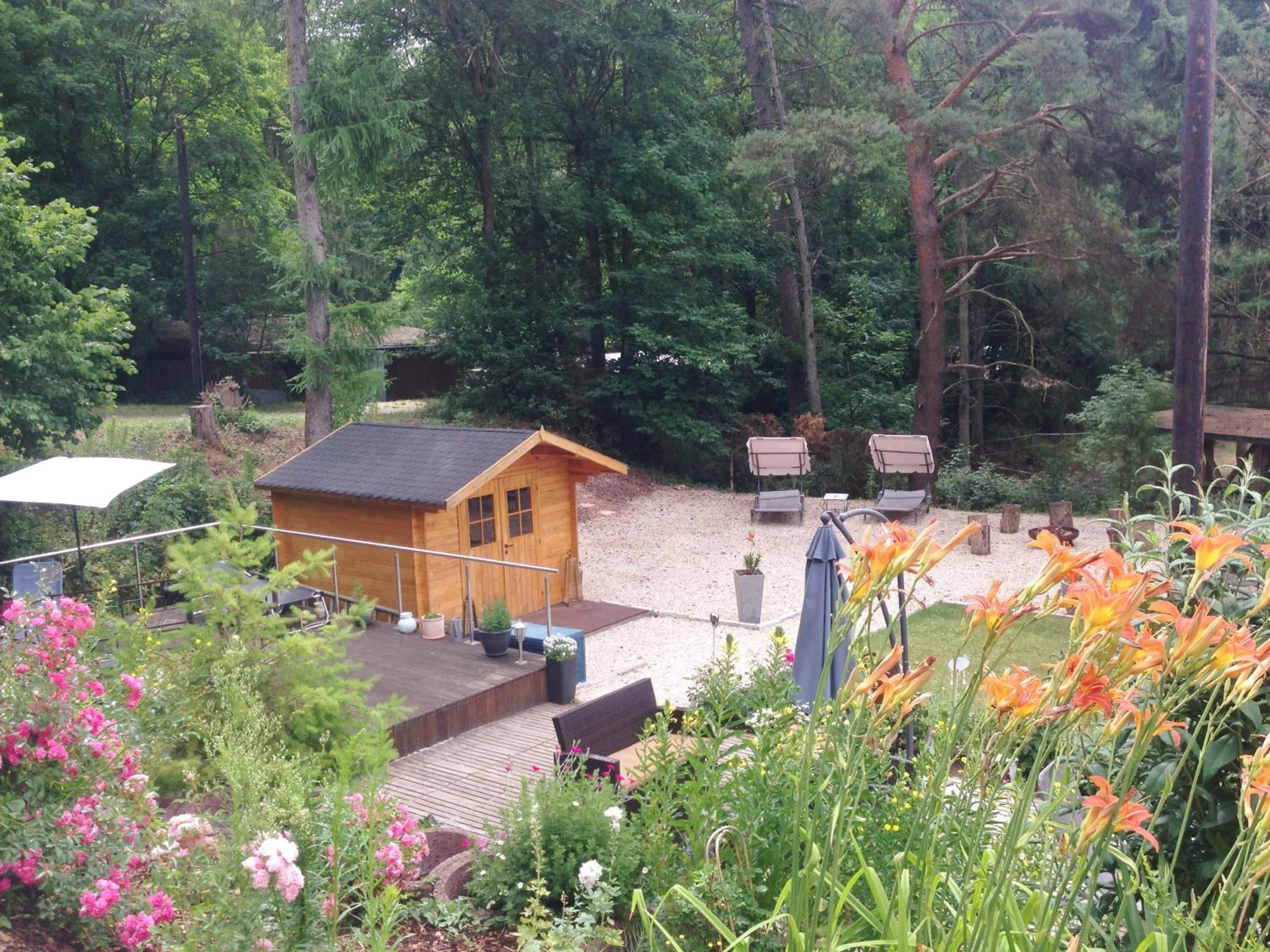 Garden in Hotel Sonnenhof
