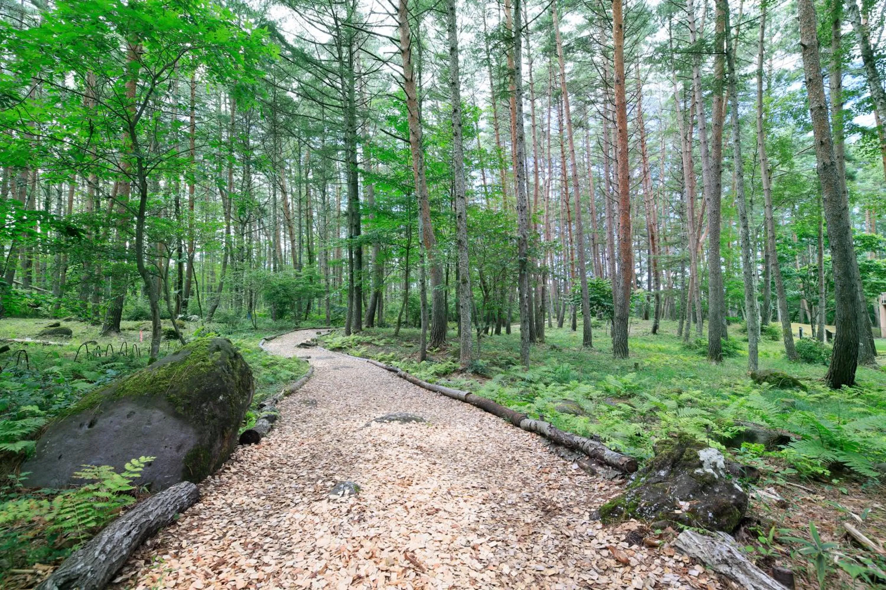Garden in Yutorelo Tateshina Hotel with DOGS