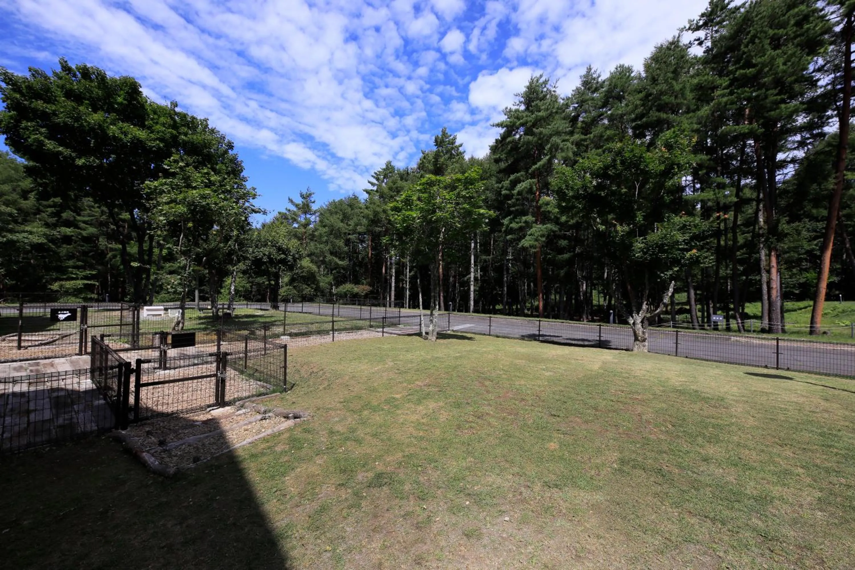 Garden in Yutorelo Tateshina Hotel with DOGS