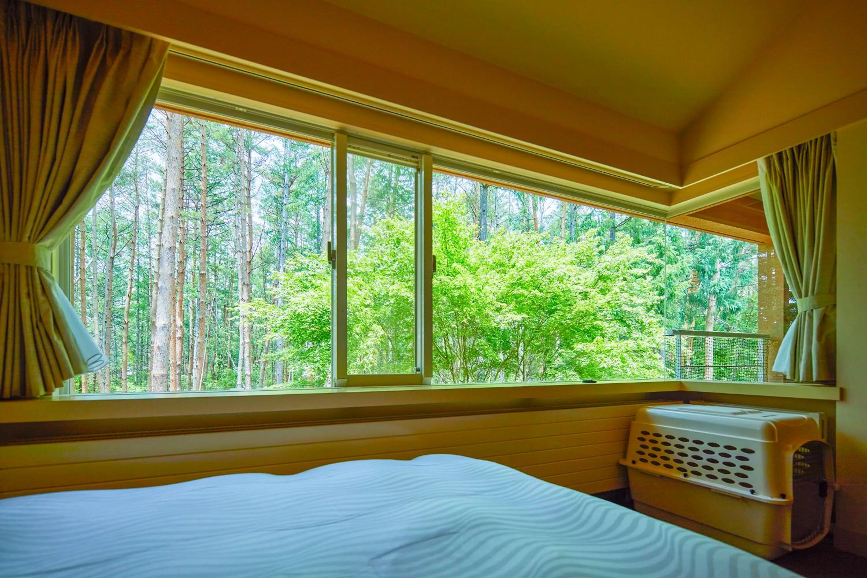 View (from property/room), Bed in Yutorelo Tateshina Hotel with DOGS