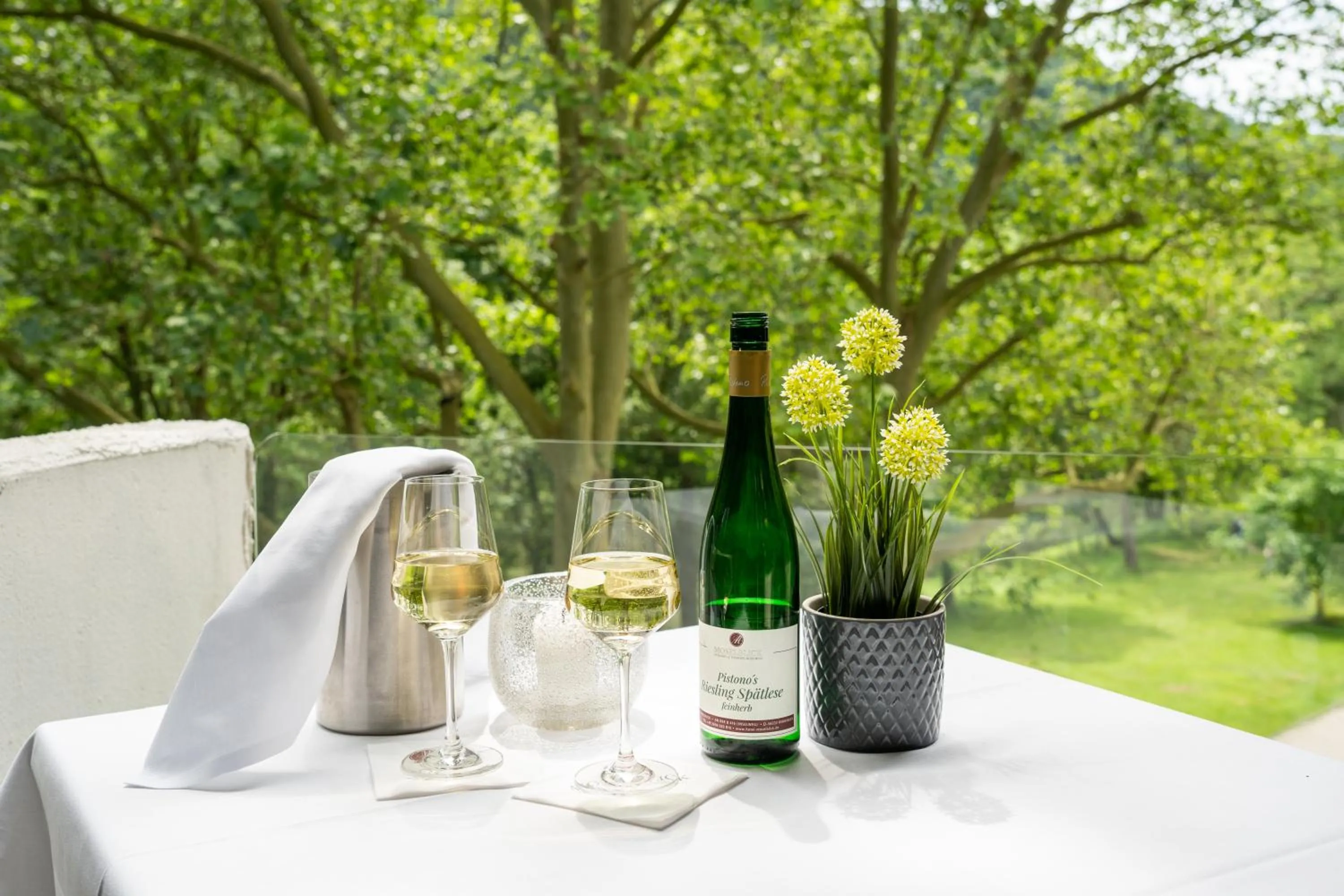 Balcony/Terrace in Hotel Moselblick