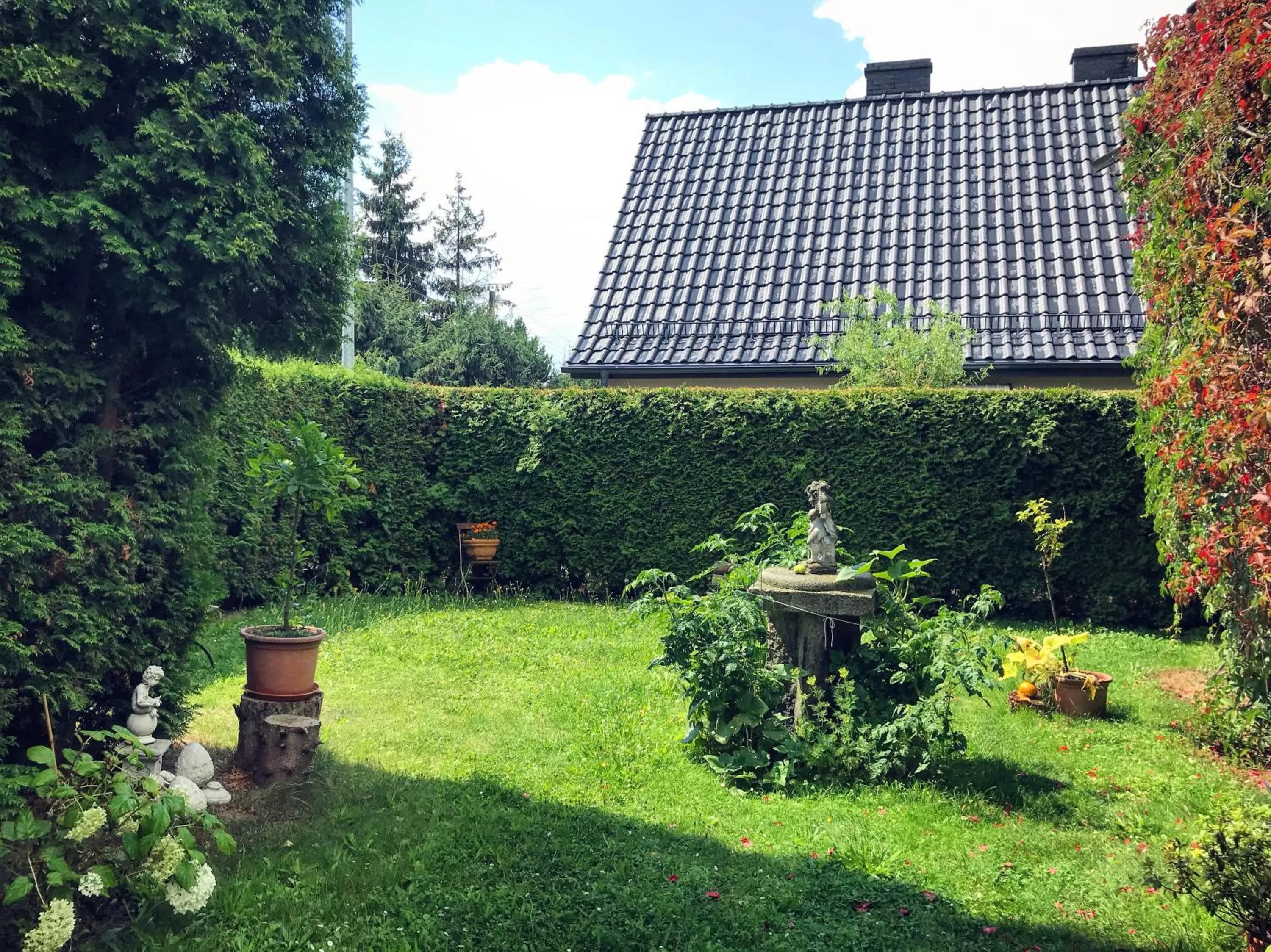 View (from property/room) in Dworek Adamski