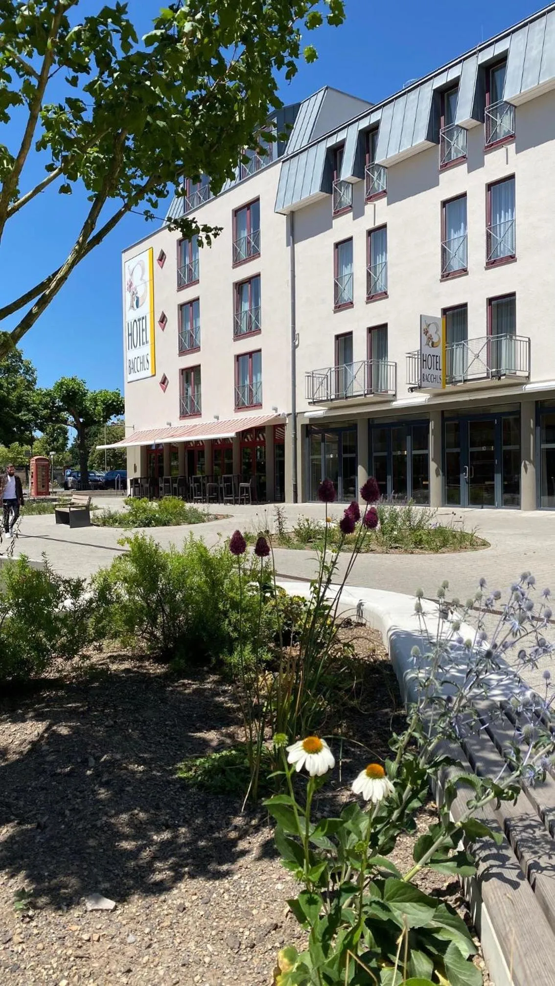 Property building in Hotel Bacchus