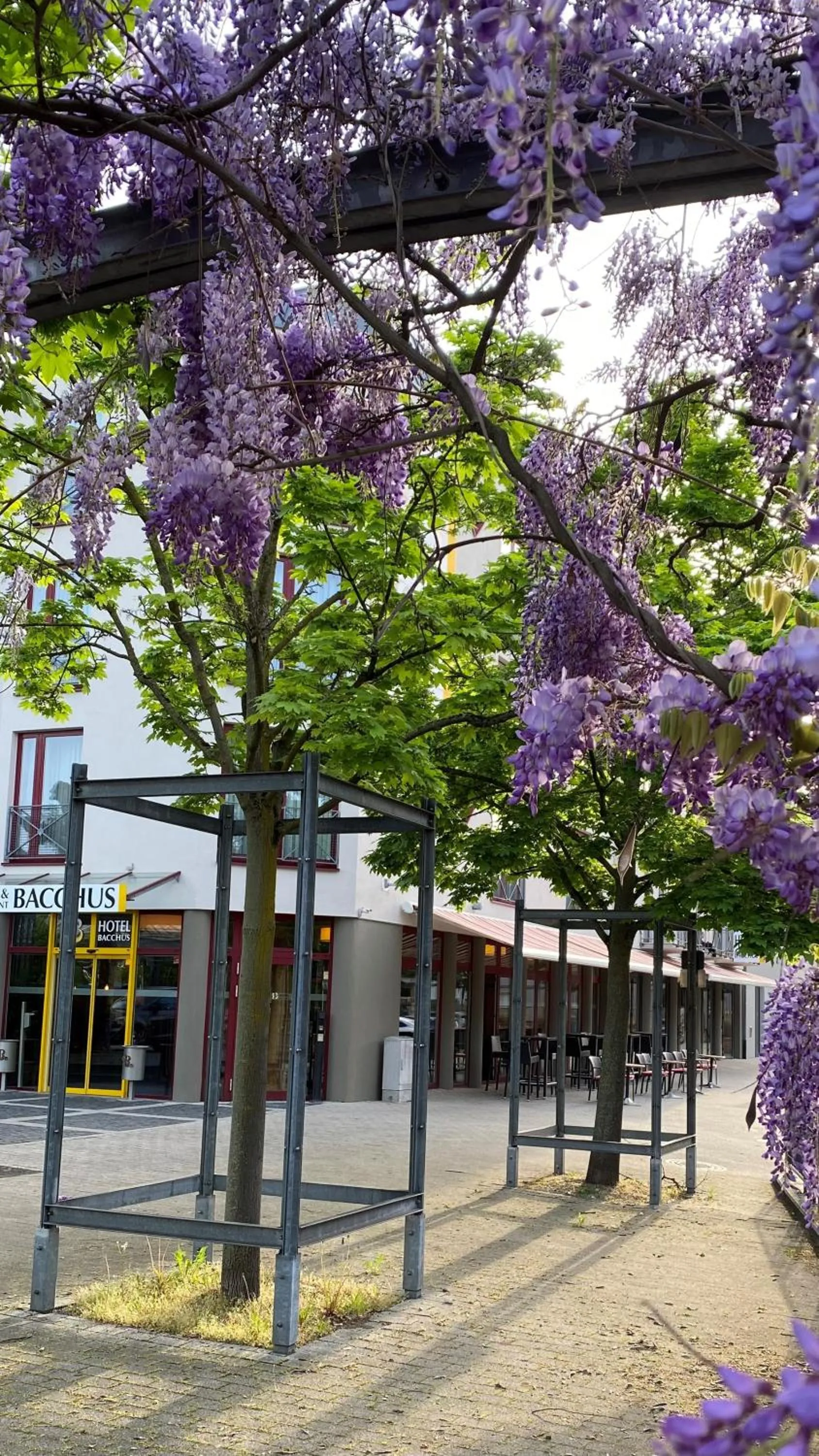 Property building in Hotel Bacchus