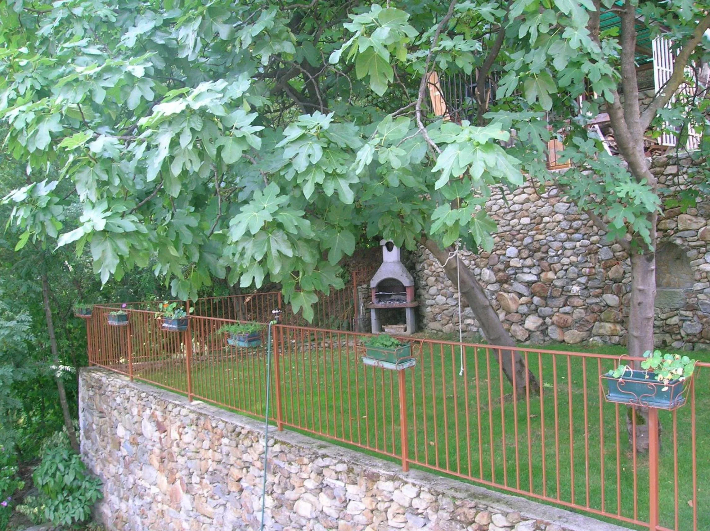 Garden in Al Carotin