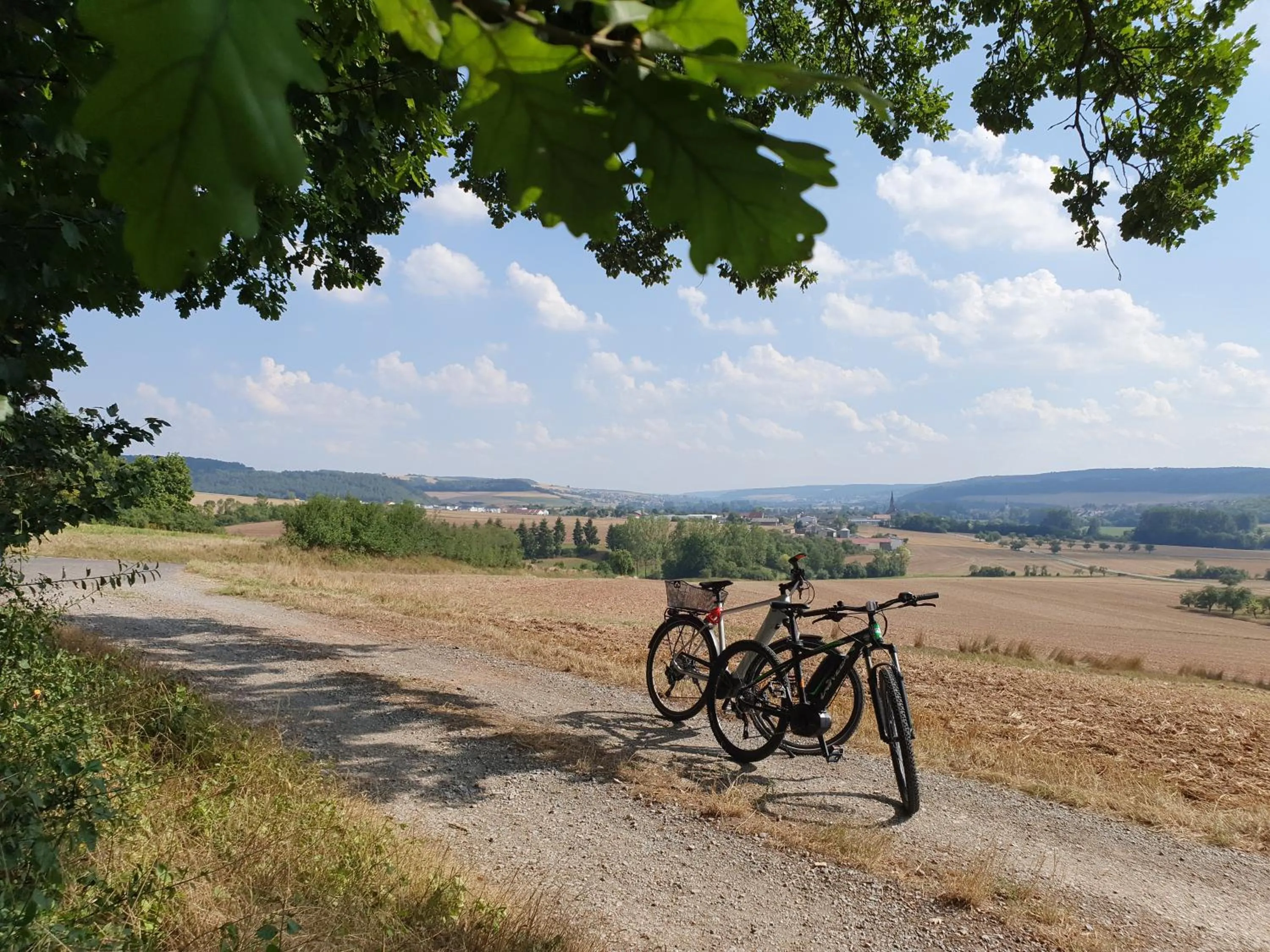 Activities in Gasthaus & Hotel Drei Lilien