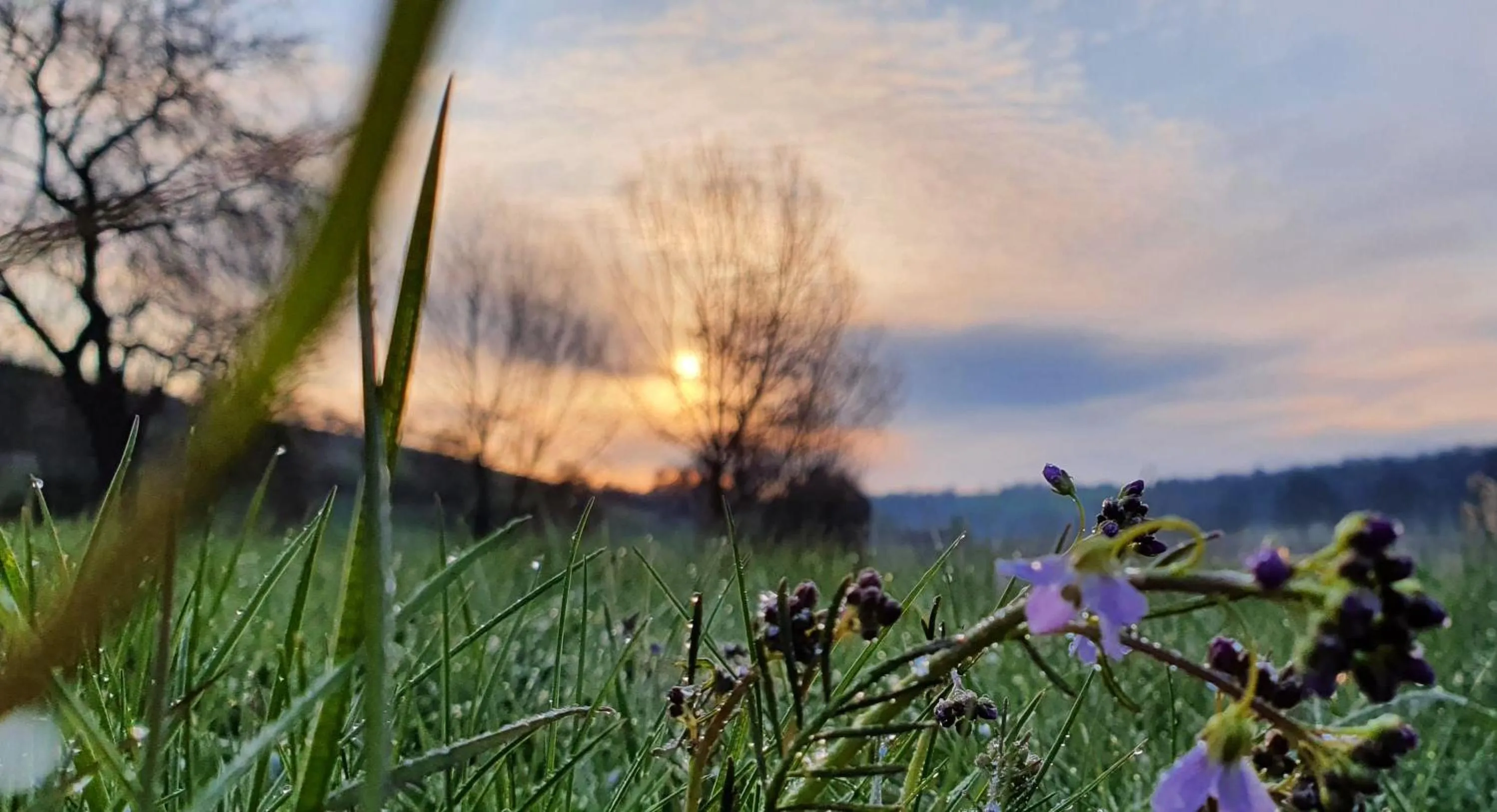 Natural landscape in Gasthaus & Hotel Drei Lilien